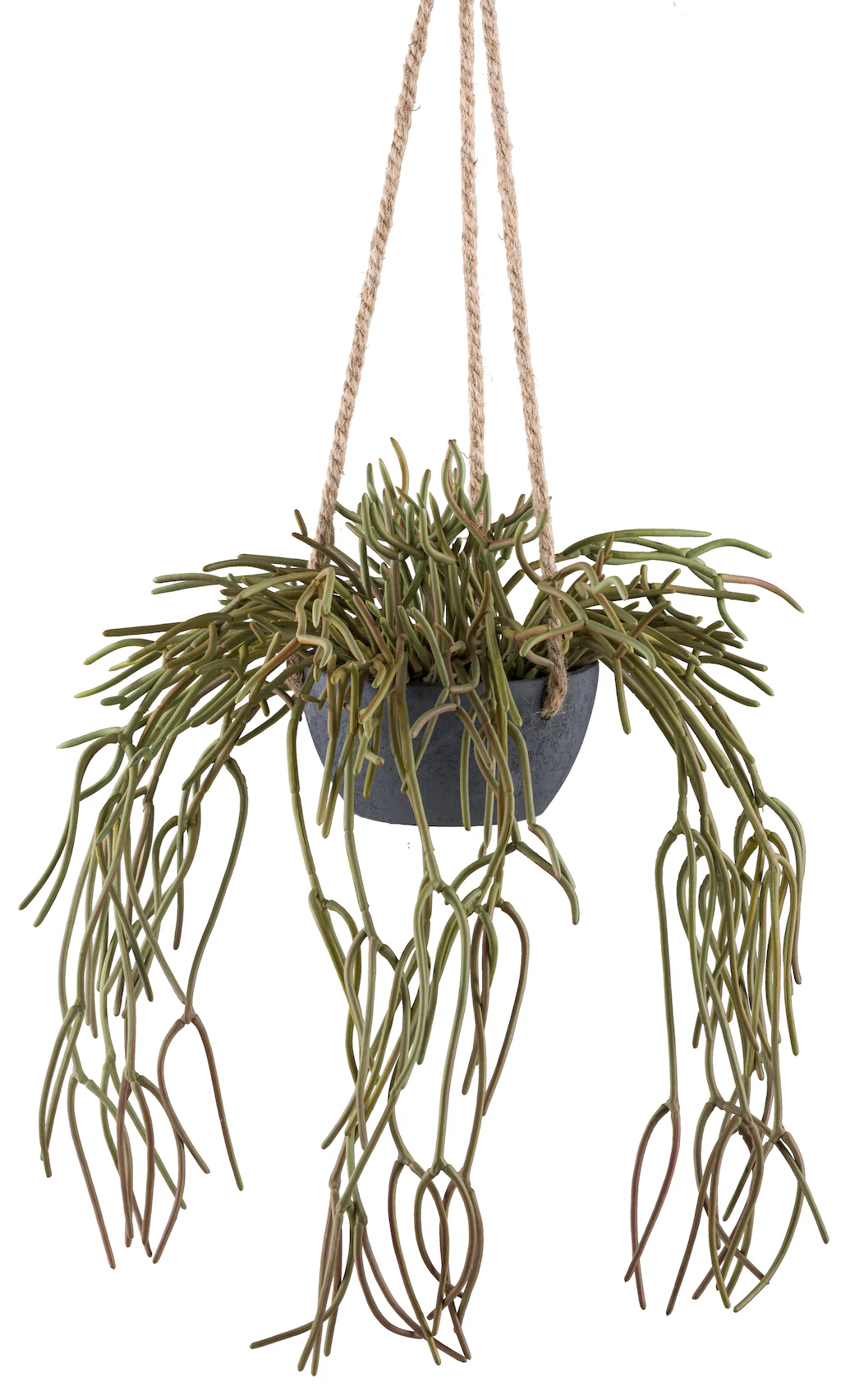 Creativ green Kunstpflanze "Hängepflanze Rhipsalis pilocarpa", in grauem Hä günstig online kaufen