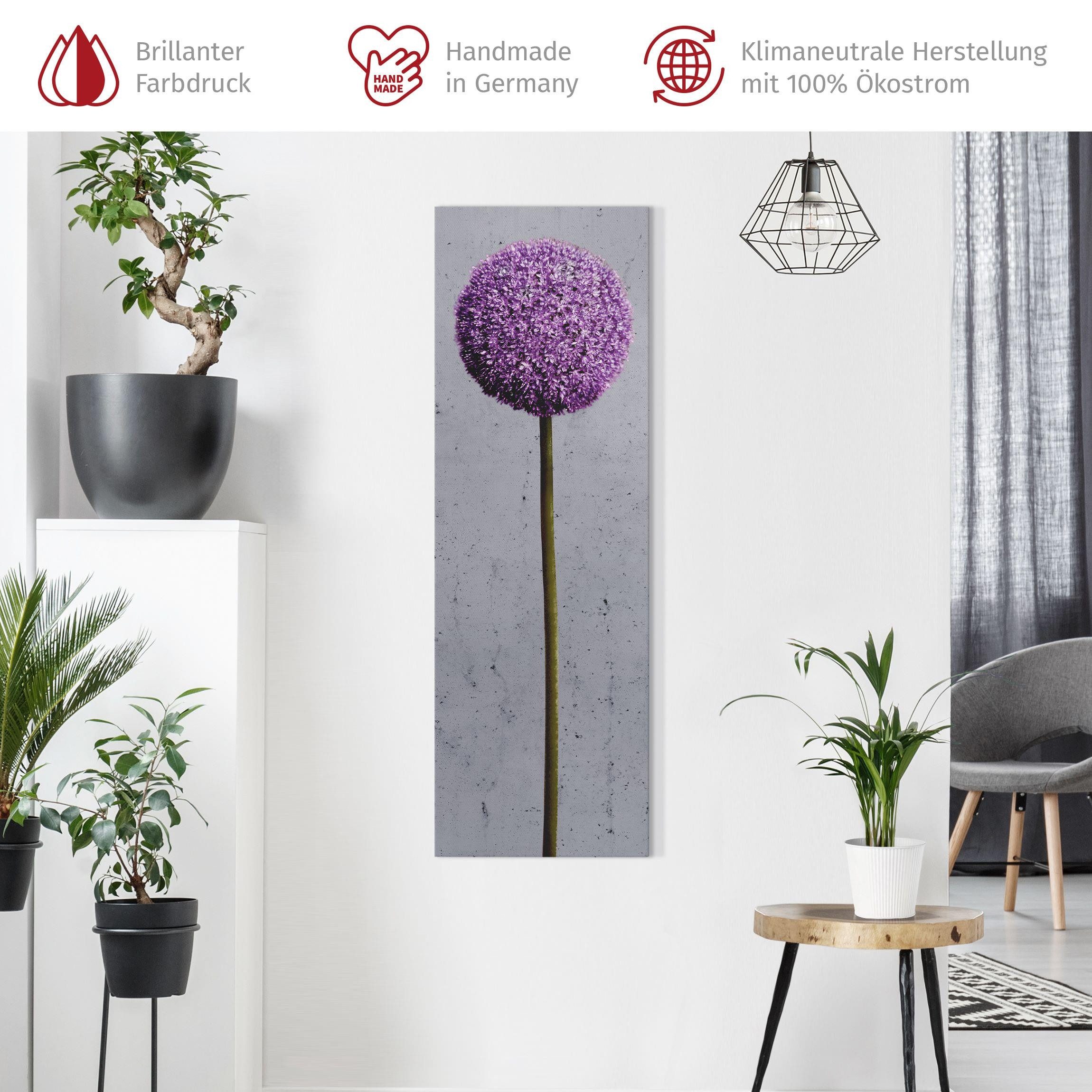 Bilderdepot24 Leinwandbild Blumen Modern Natur Allium günstig online kaufen