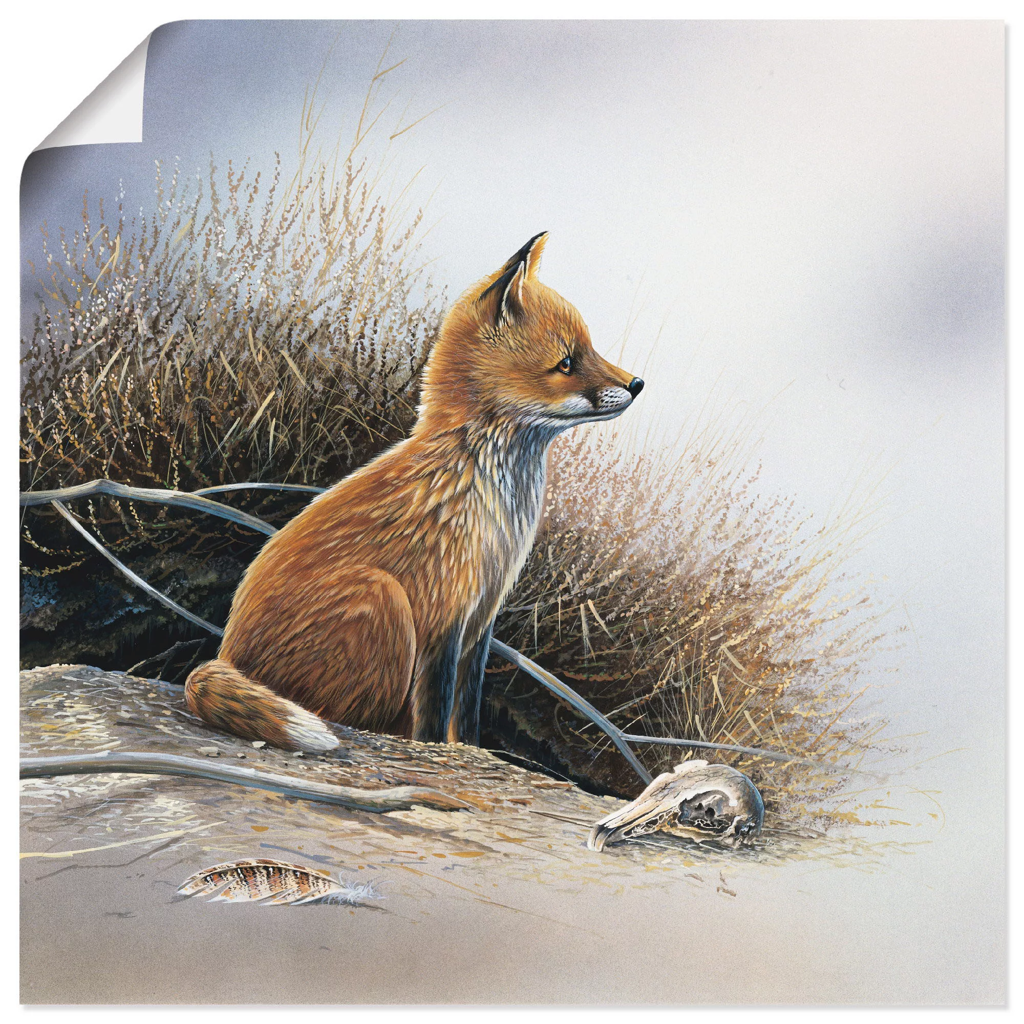 Artland Wandbild "Kleiner Fuchs", Wildtiere, (1 St.) günstig online kaufen