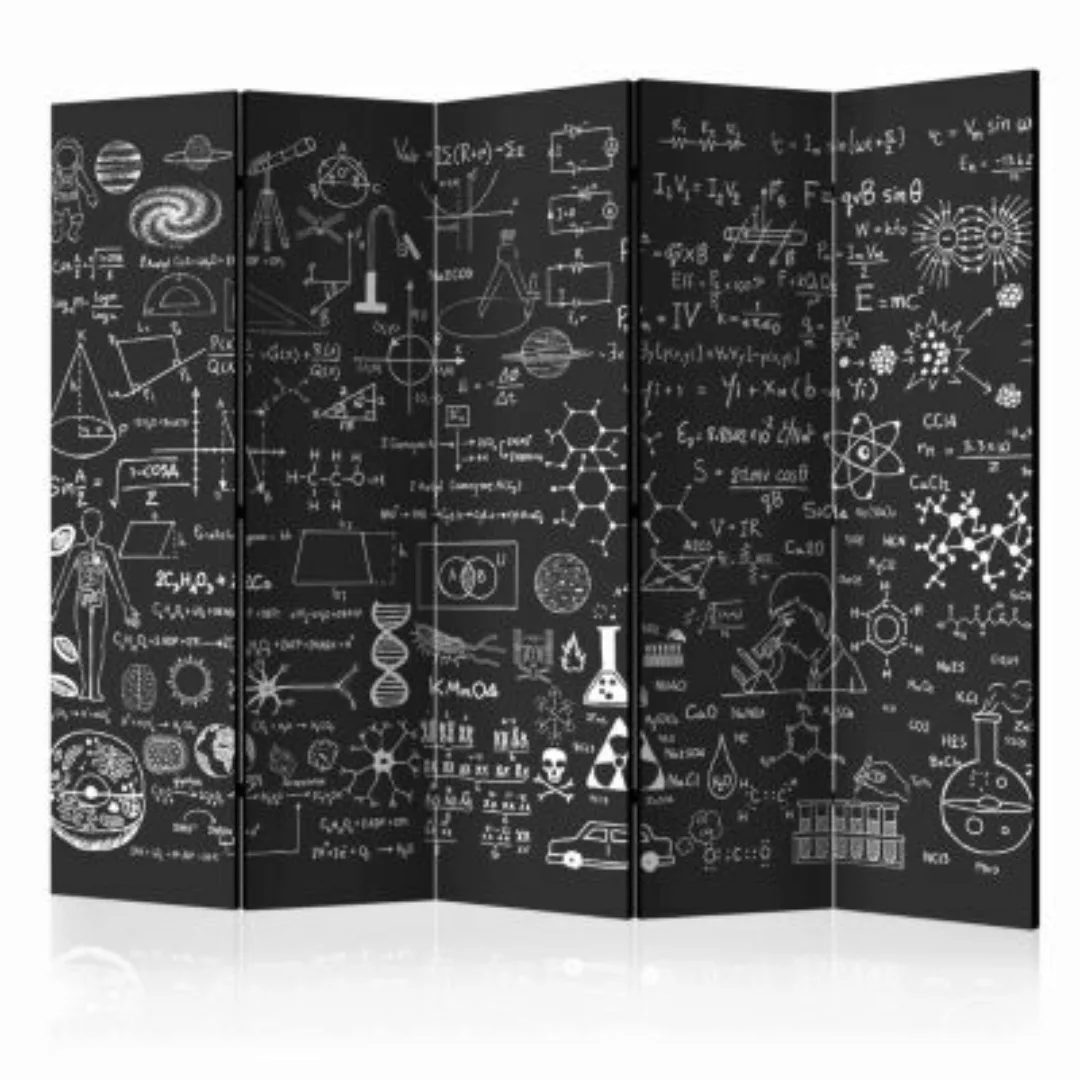 artgeist Paravent Science on Chalkboard II [Room Dividers] schwarz/weiß Gr. günstig online kaufen