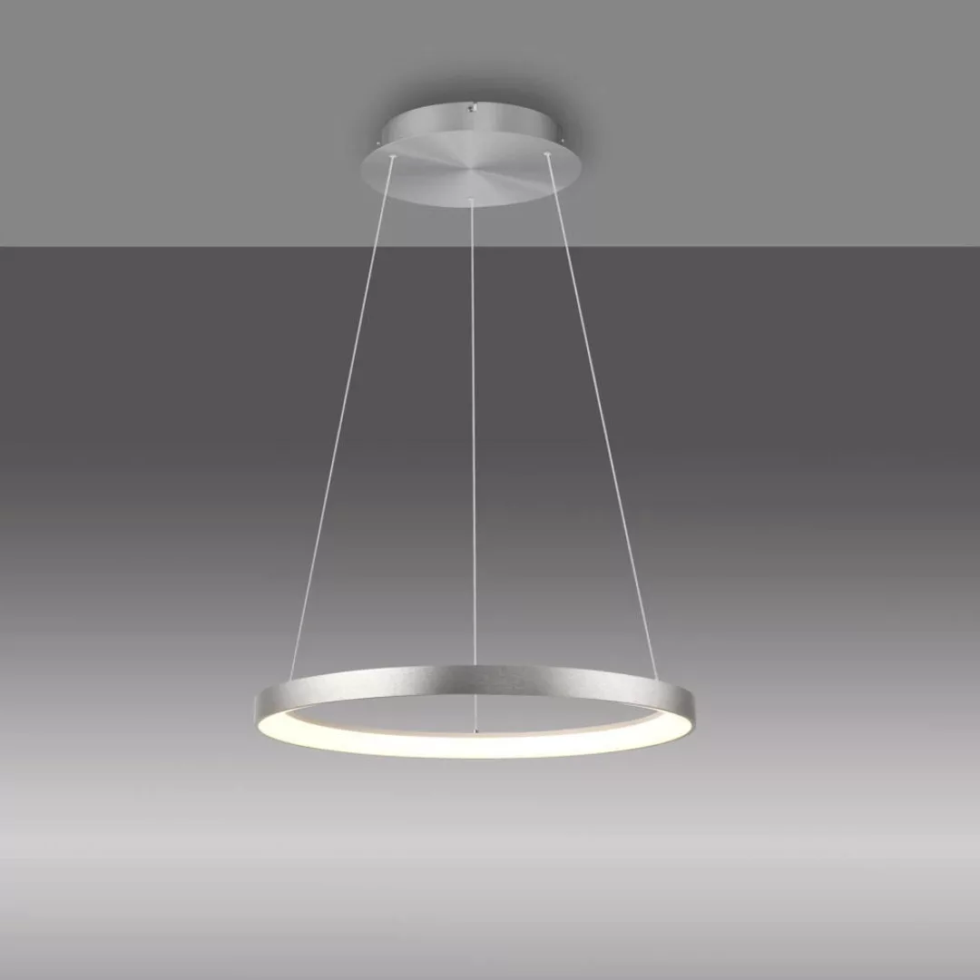 Paul Neuhaus LED-Hängelampe Hoop, aluminium, Ø 57 cm günstig online kaufen