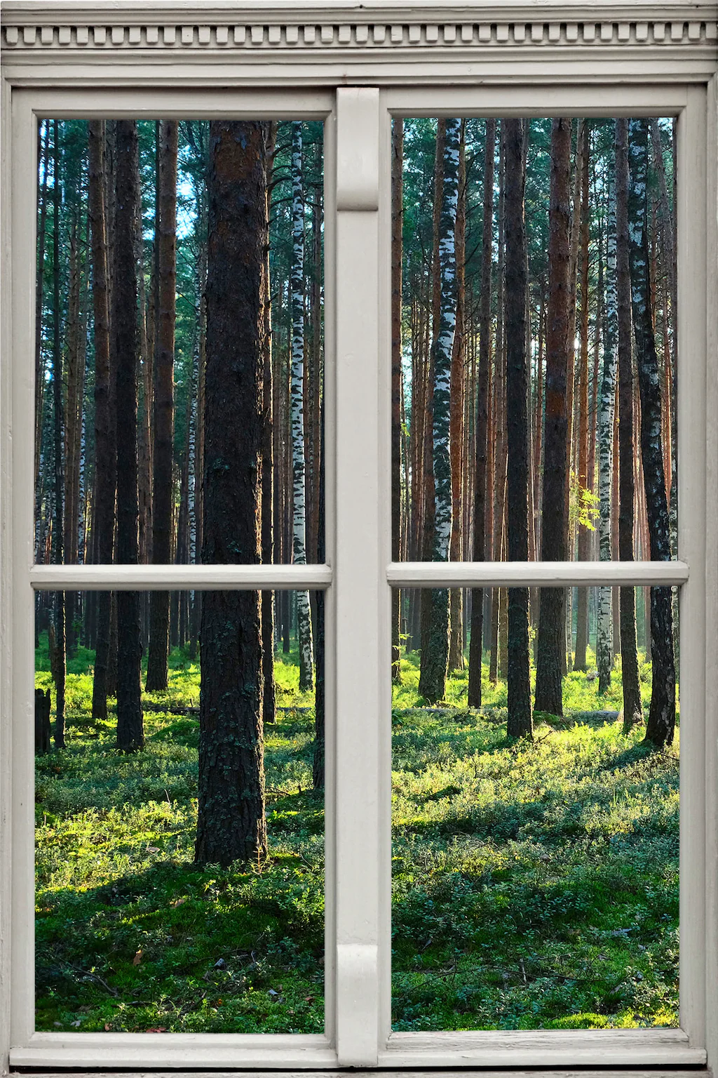 queence Wandsticker "Wald", Wandsticker, Wandbild, selbstklebend, 3D, Fenst günstig online kaufen