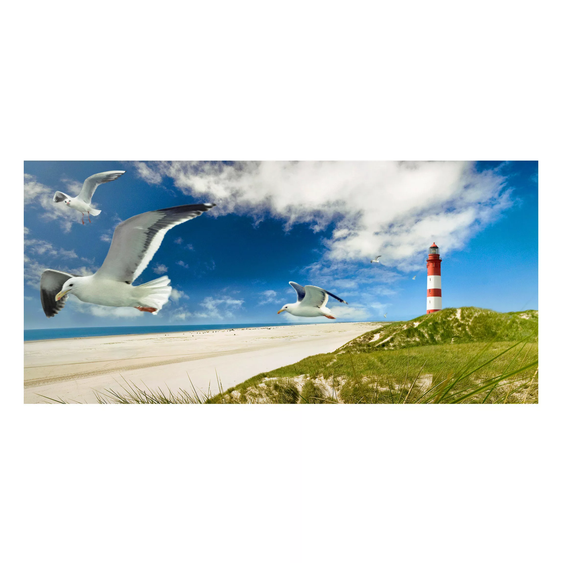 Magnettafel Natur & Landschaft - Querformat 2:1 Dune Breeze günstig online kaufen