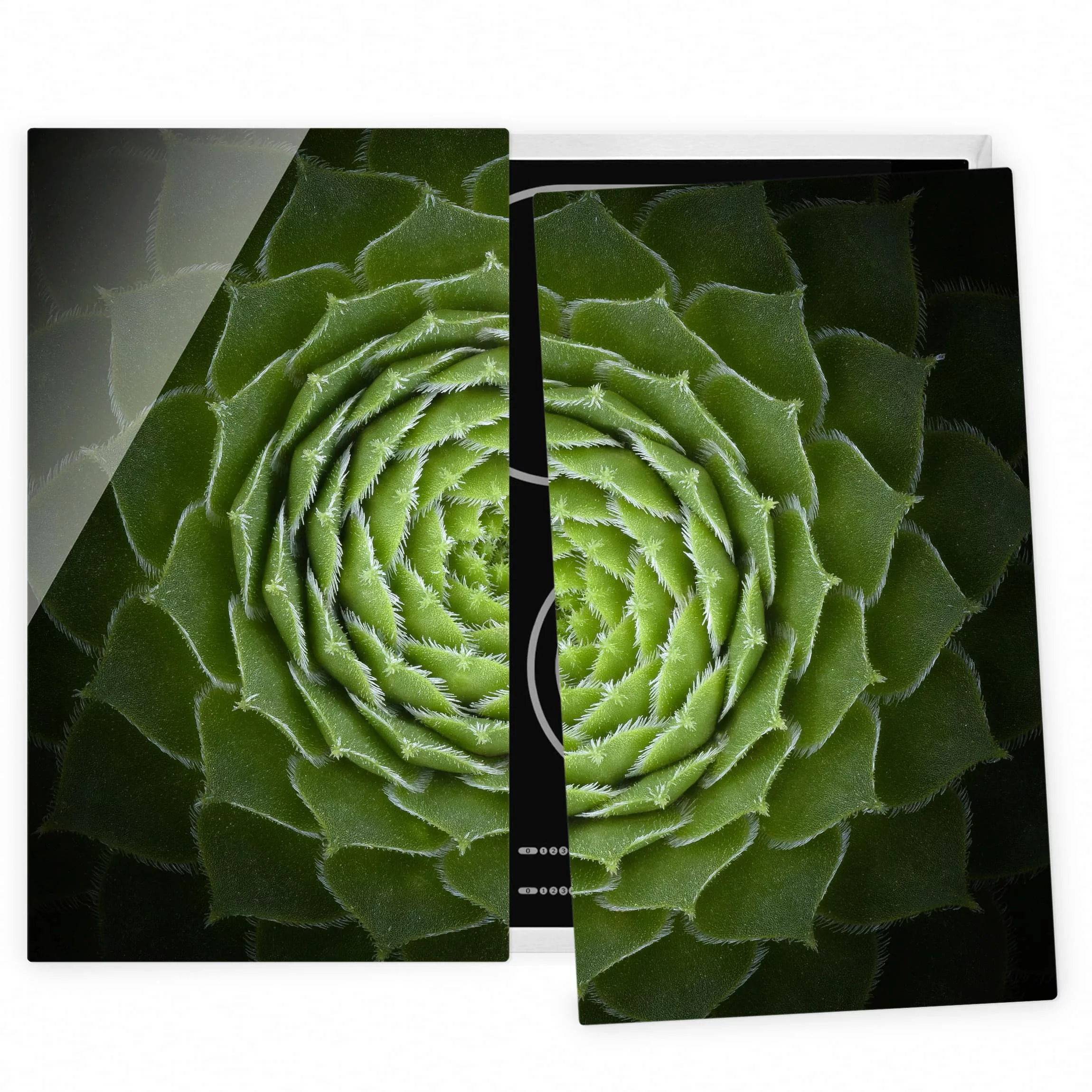 2-teilige Herdabdeckplatte Glas Botanik Mandala Sukkulente günstig online kaufen