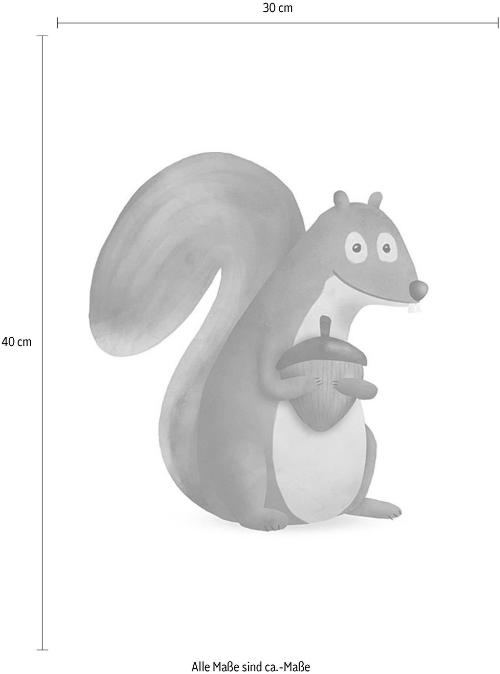 Komar Bild "Cute Animal Squirrel", Tiere, (1 St.), Wandbild zur Dekoration günstig online kaufen