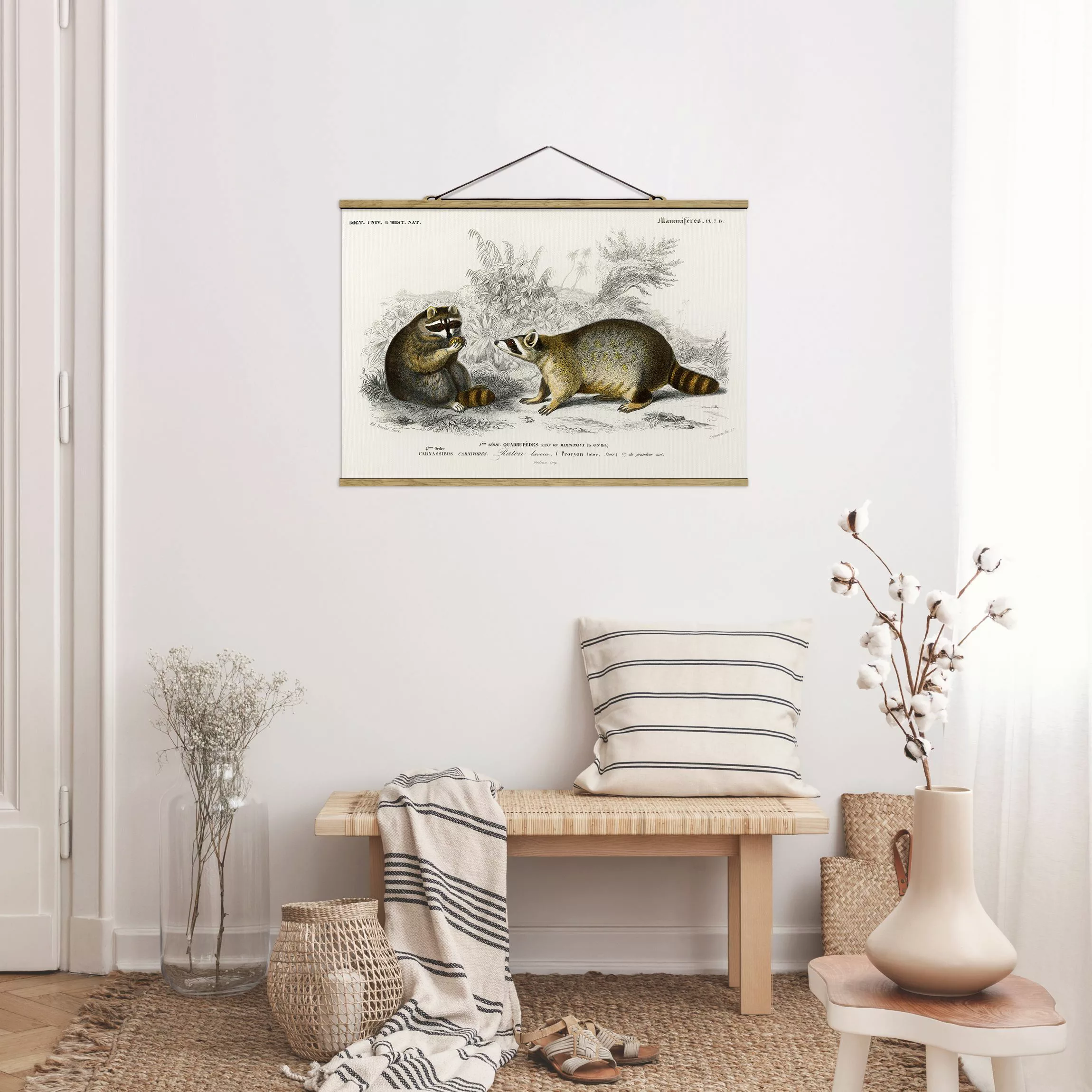 Stoffbild Tiere mit Posterleisten - Querformat Vintage Lehrtafel Waschbär günstig online kaufen