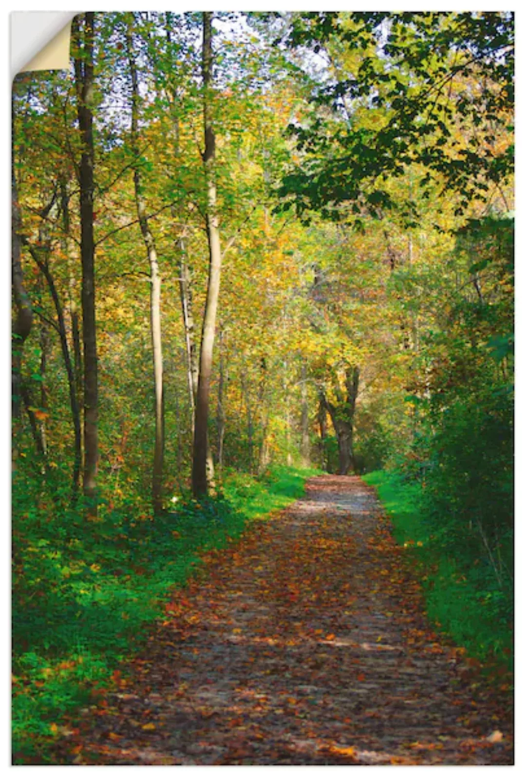 Artland Wandbild »Weg im Herbst Wald«, Wald, (1 St.), als Poster, Wandaufkl günstig online kaufen