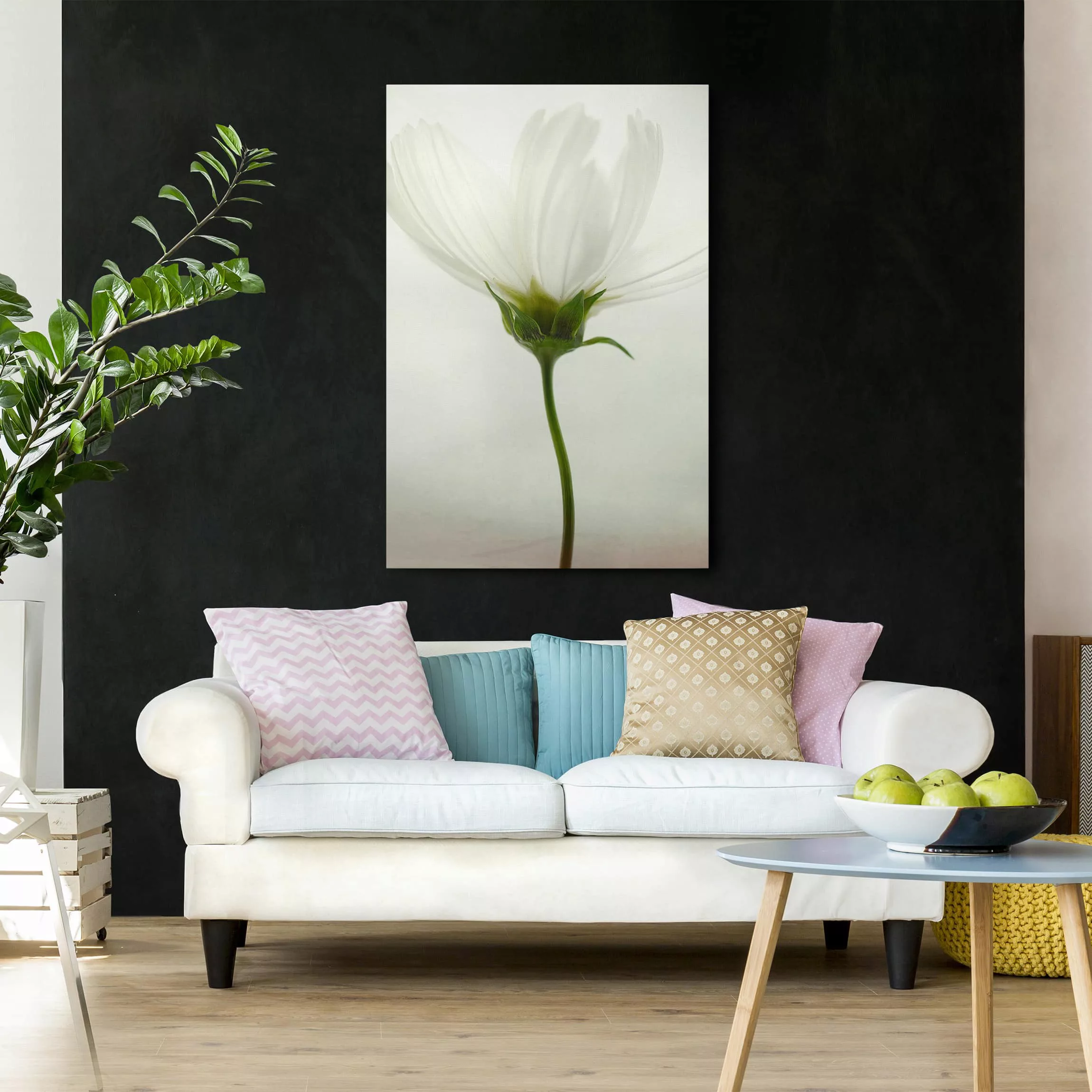 Leinwandbild Blumen - Hochformat Weiße Cosmea günstig online kaufen