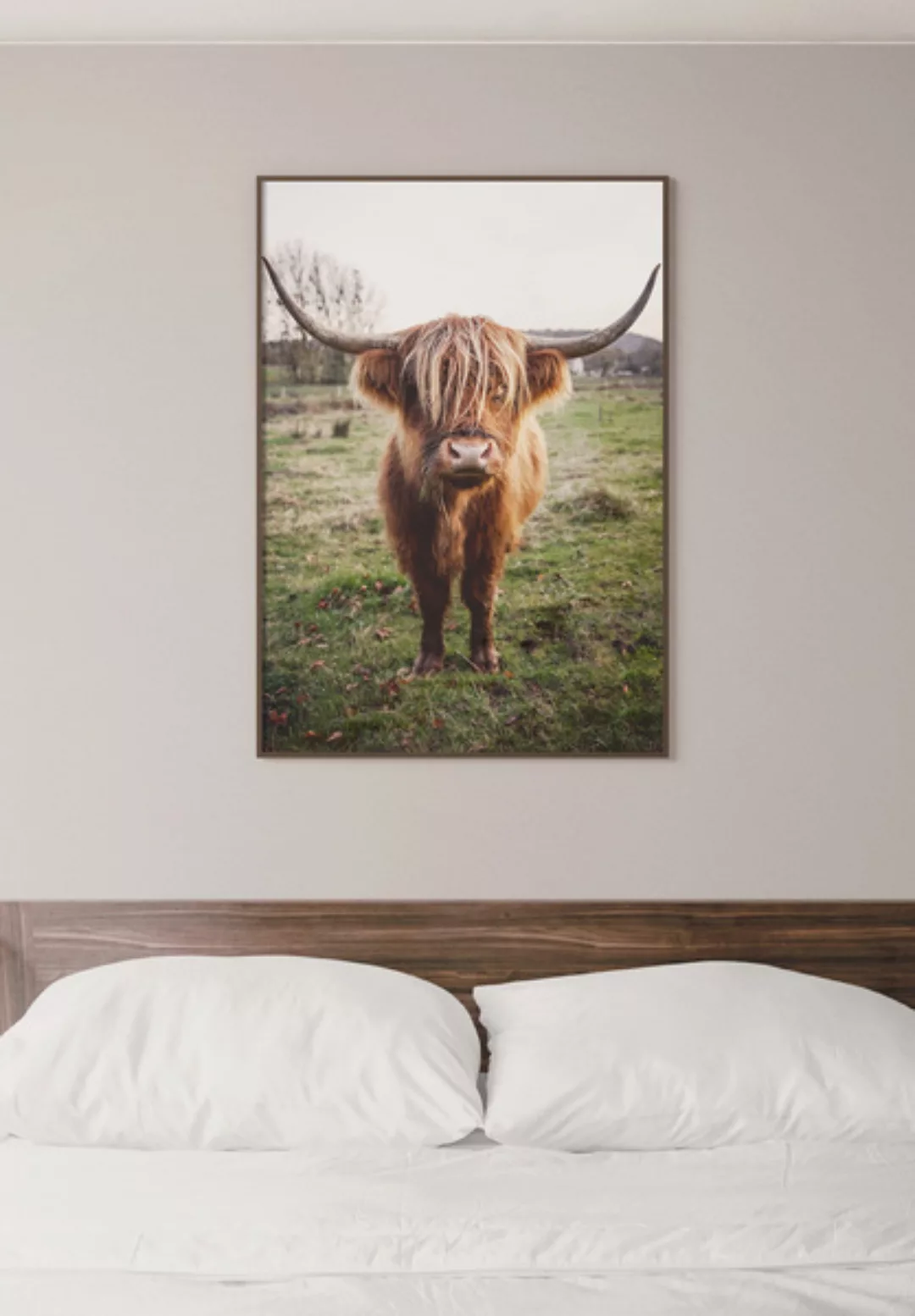 Poster Animal Cattle Portrait günstig online kaufen