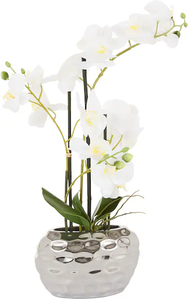 Leonique Kunstpflanze "Orchidee", Kunstorchidee, im Topf, Bestseller, über günstig online kaufen