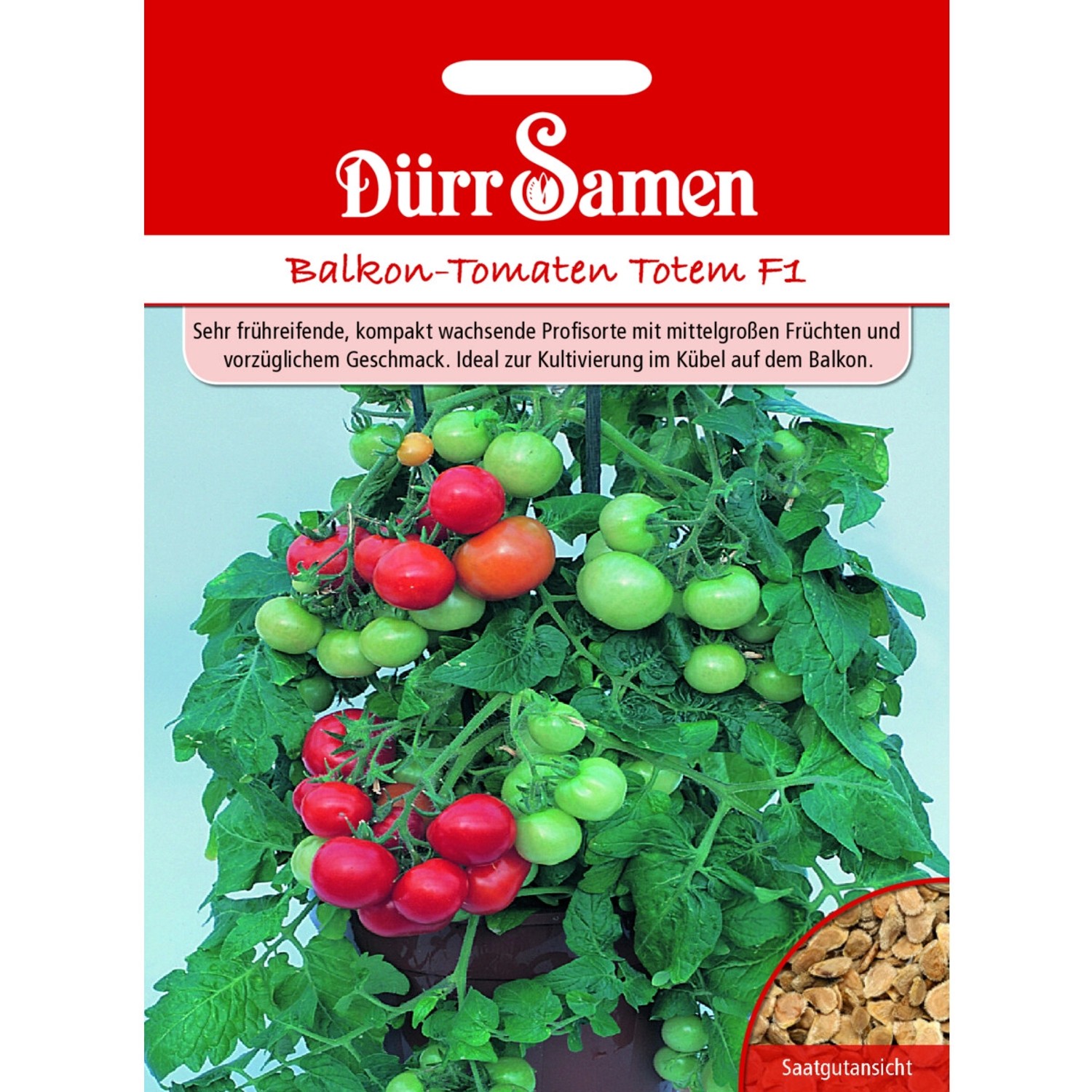 Dürr Samen Balkontomaten Totem F1 Saatgut günstig online kaufen