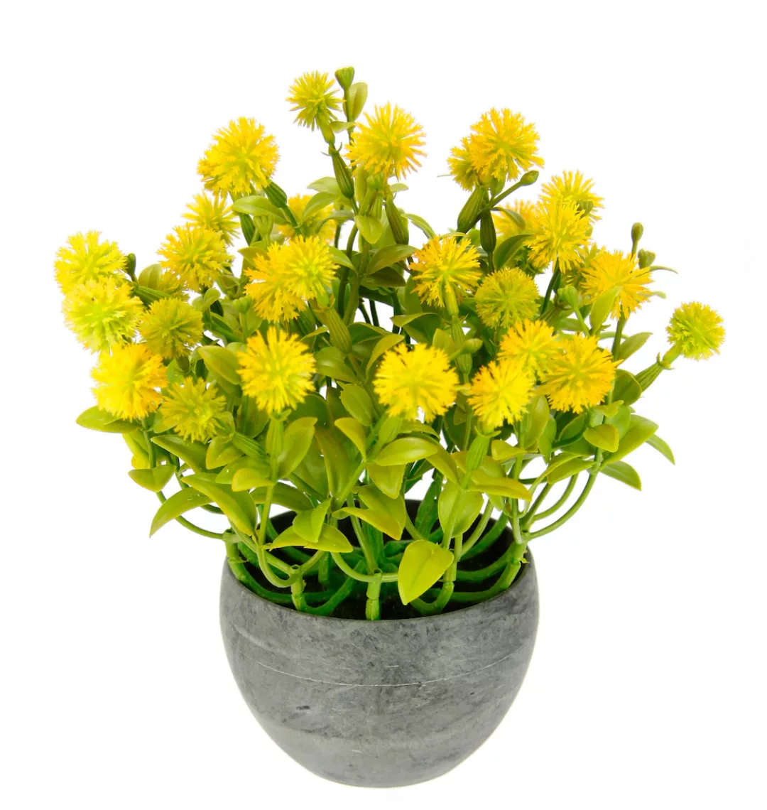 I.GE.A. Kunstpflanze "Margerite im Topf", Künstliche Blumen Blütenbusch Bus günstig online kaufen