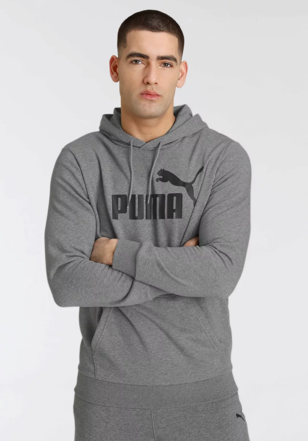 PUMA Essentials Big Logo Herren Hoodie | Mit Heide | Grau | Größe: S günstig online kaufen