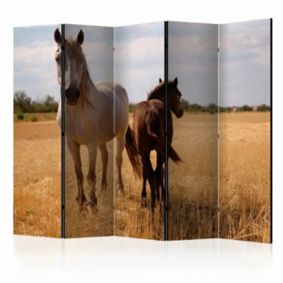 artgeist Paravent Horse and foal II [Room Dividers] grau-kombi Gr. 225 x 17 günstig online kaufen