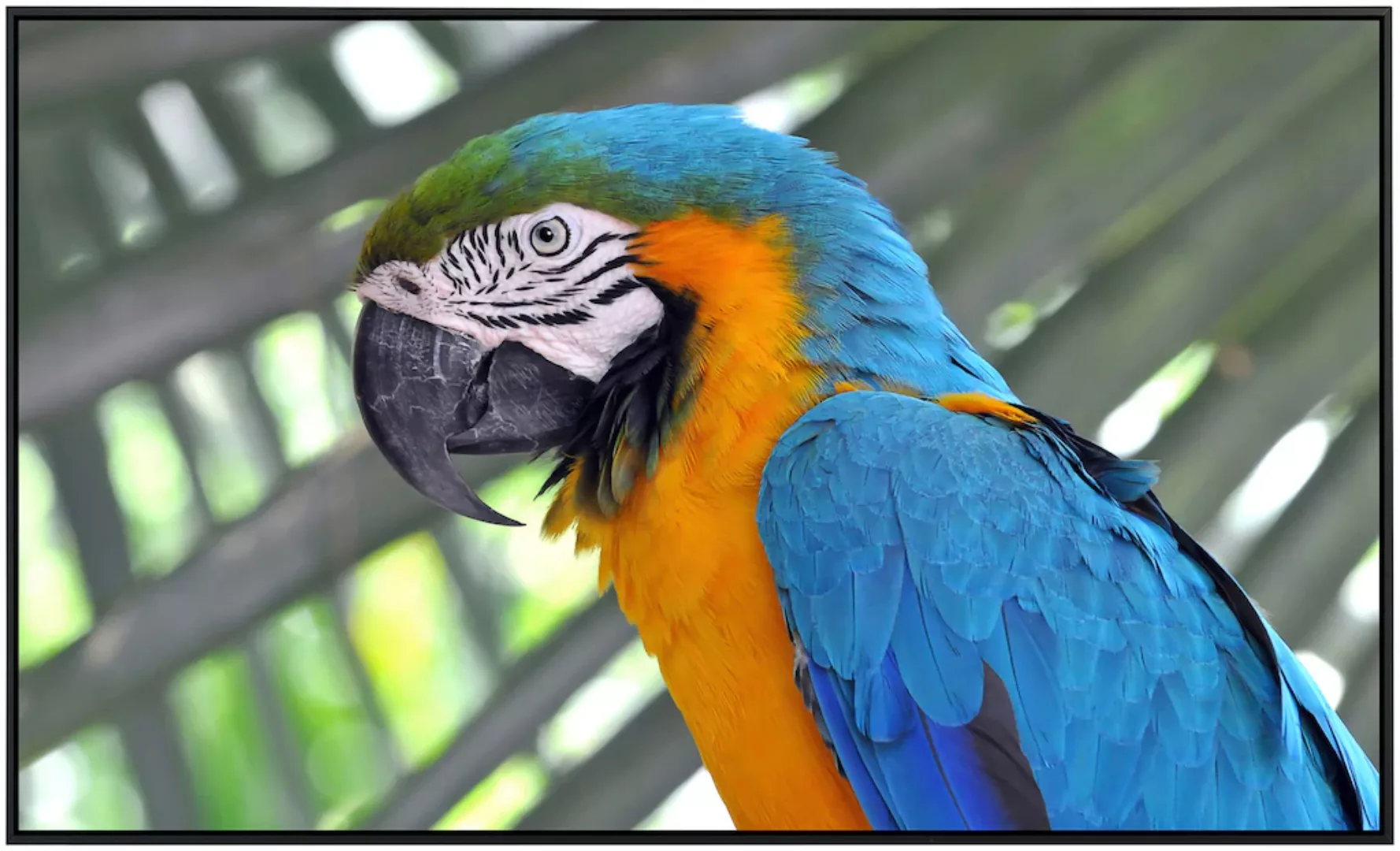 Papermoon Infrarotheizung »Papagei« günstig online kaufen