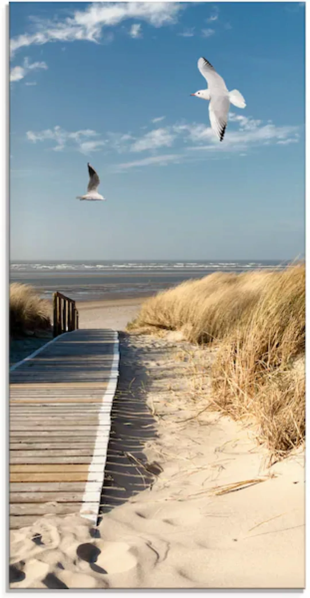 Artland Glasbild "Nordseestrand auf Langeoog mit Möwen", Strand, (1 St.) günstig online kaufen