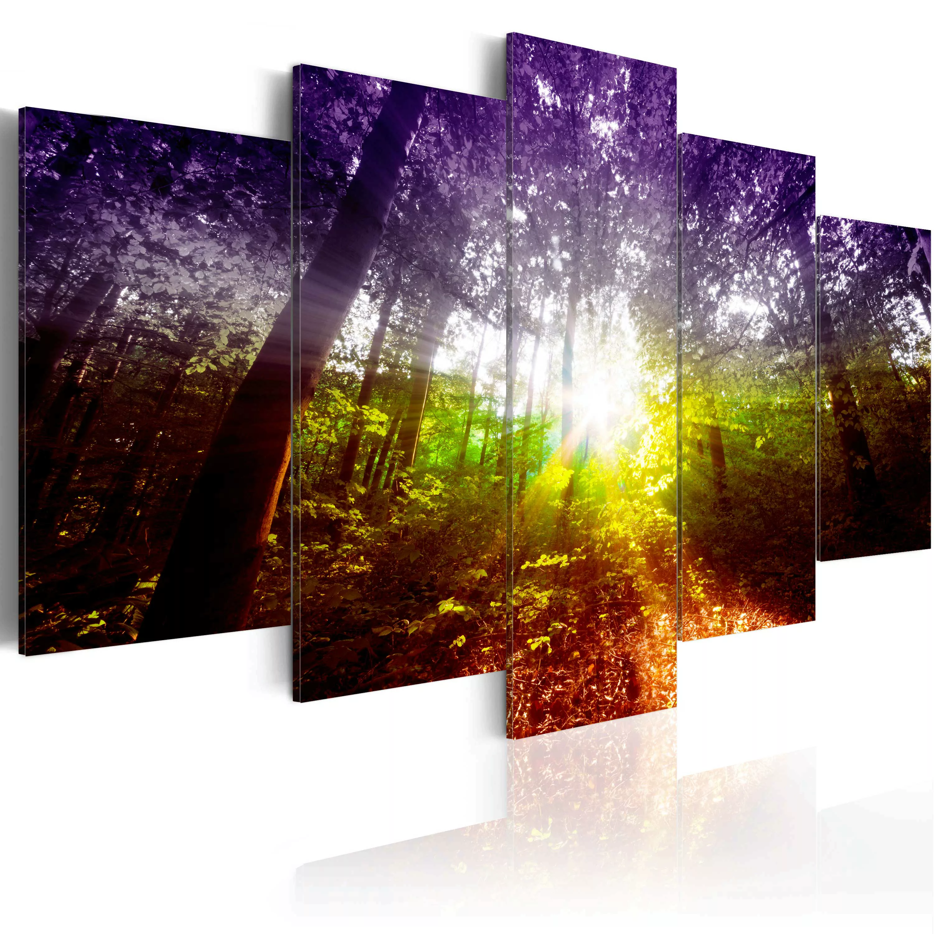 Wandbild - Rainbow Forest günstig online kaufen
