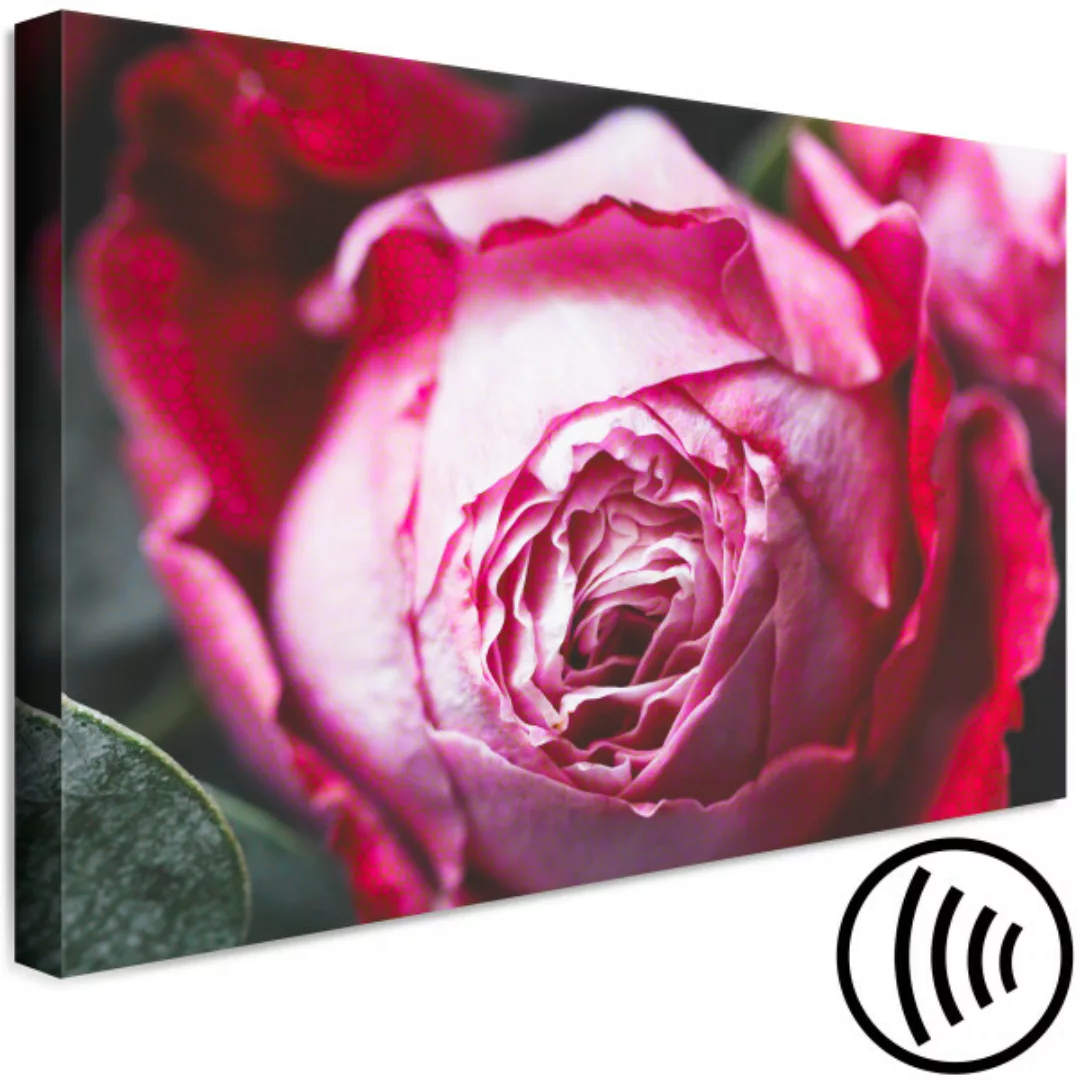 Wandbild Rose - Nahaufnahme einer rosa Blume auf geometrischem Hintergrund günstig online kaufen
