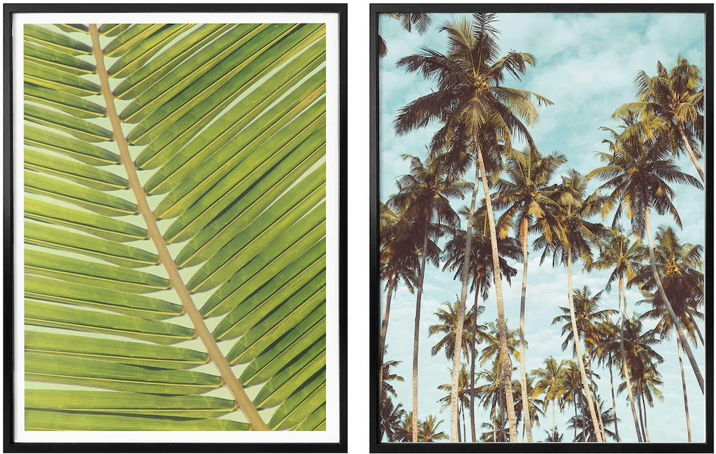 Wall-Art Poster "Palmenblätter Miami Palmen Urlaub", (Set, 2 St.), Collage günstig online kaufen