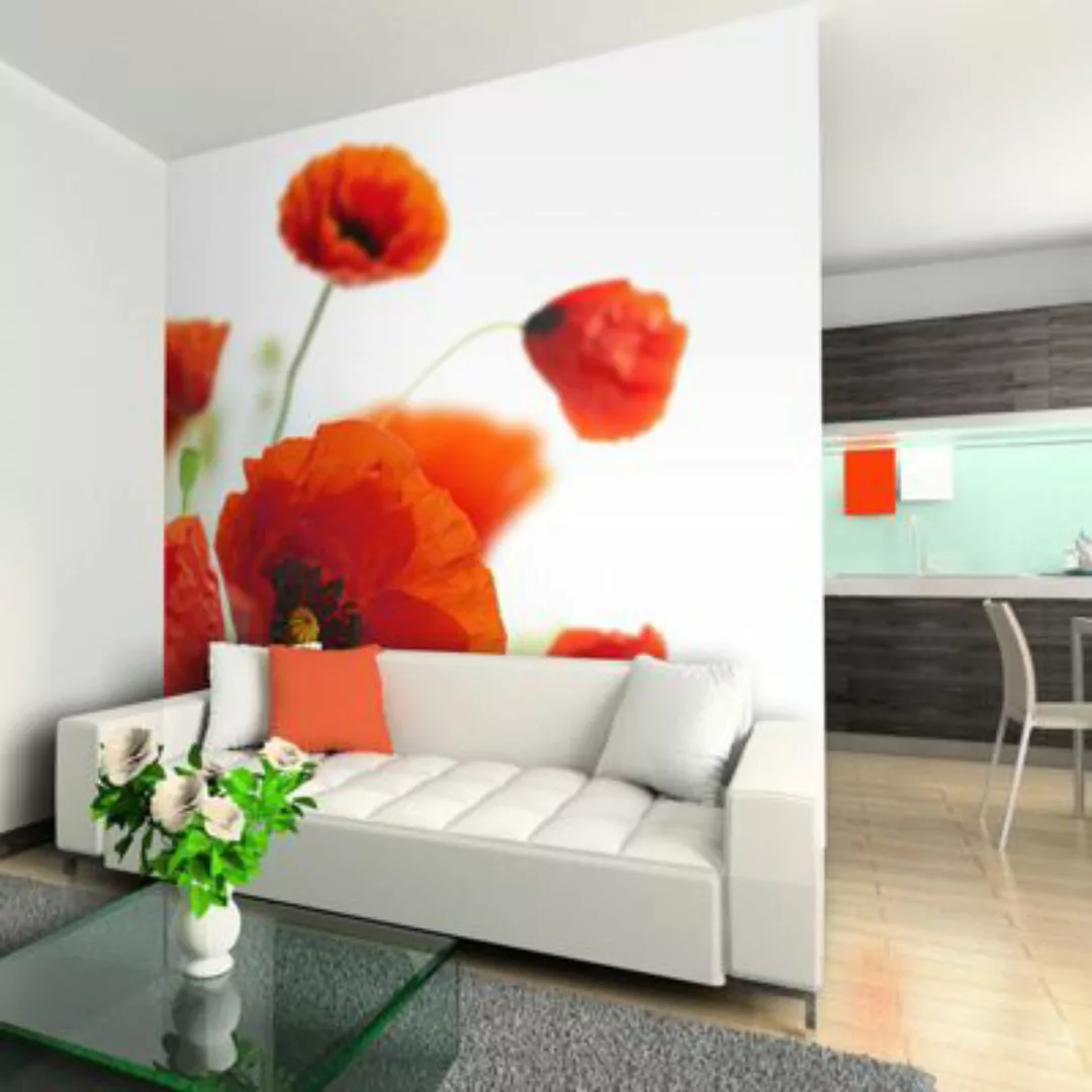 artgeist Fototapete Poppies on the wihite background mehrfarbig Gr. 200 x 1 günstig online kaufen
