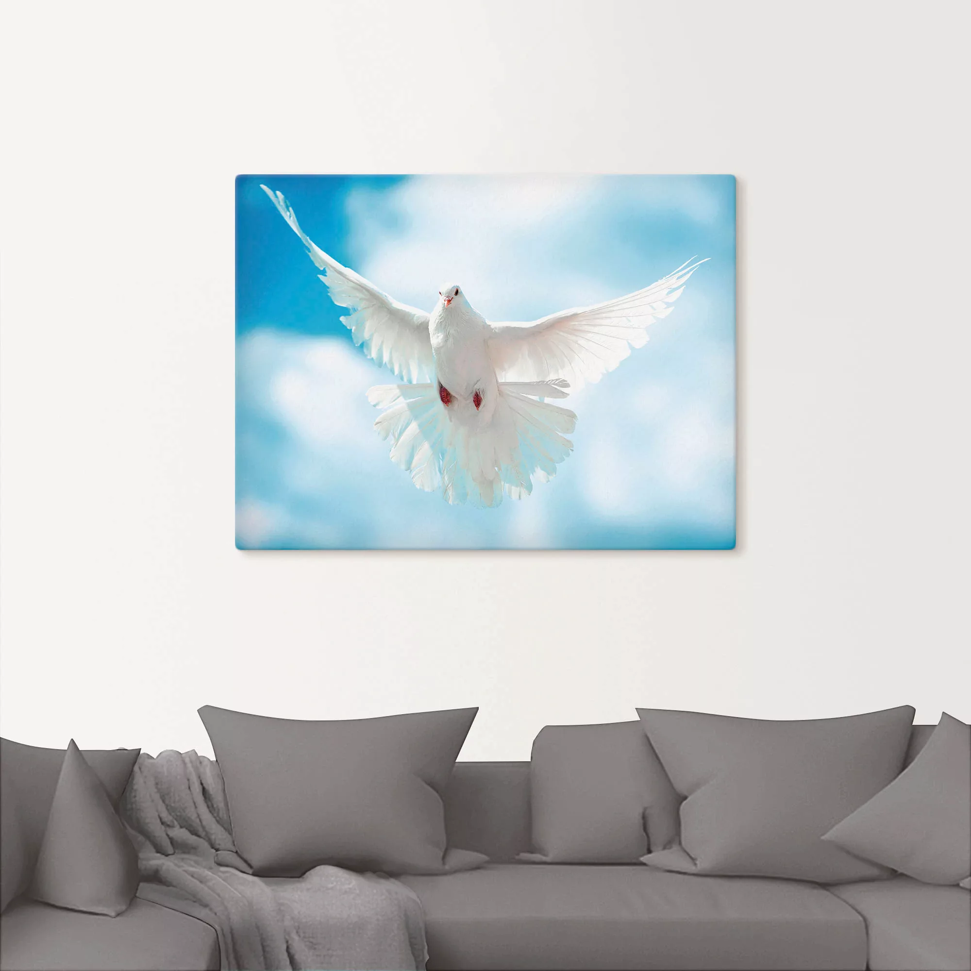 Artland Wandbild »Taube mit ausgebreiteten Flügeln«, Vögel, (1 St.), als Al günstig online kaufen