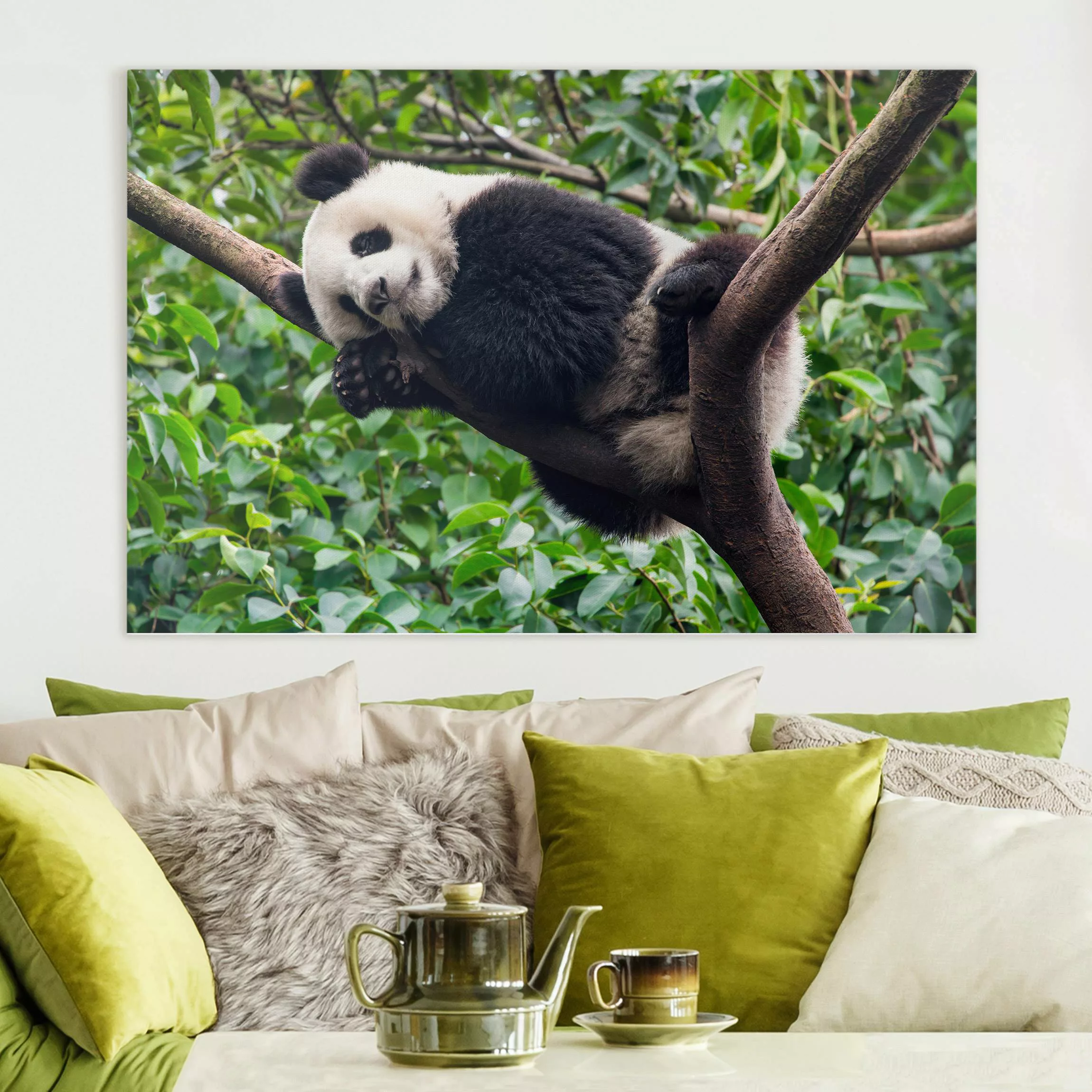 Leinwandbild Schlafender Panda auf Ast günstig online kaufen