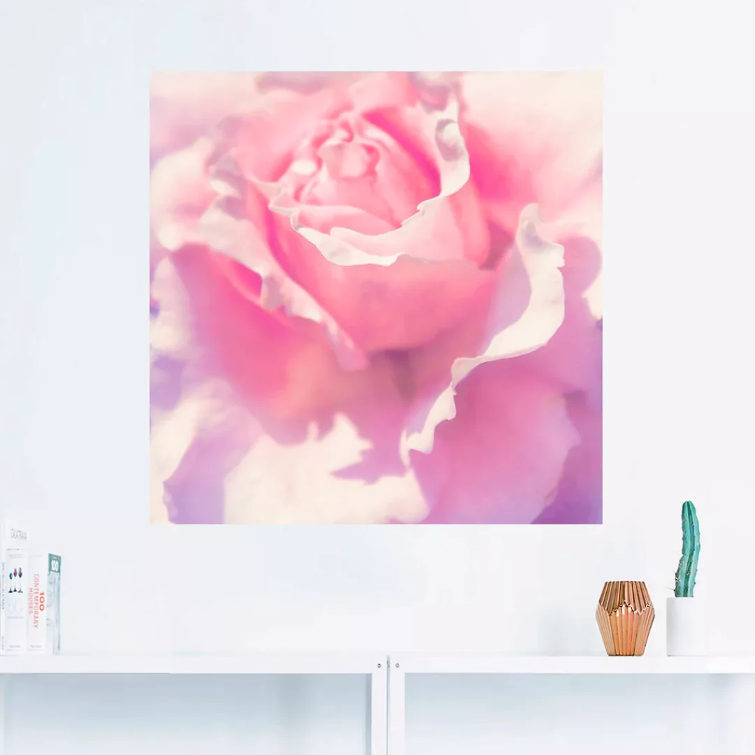 Artland Wandbild "Rosa", Blumen, (1 St.) günstig online kaufen