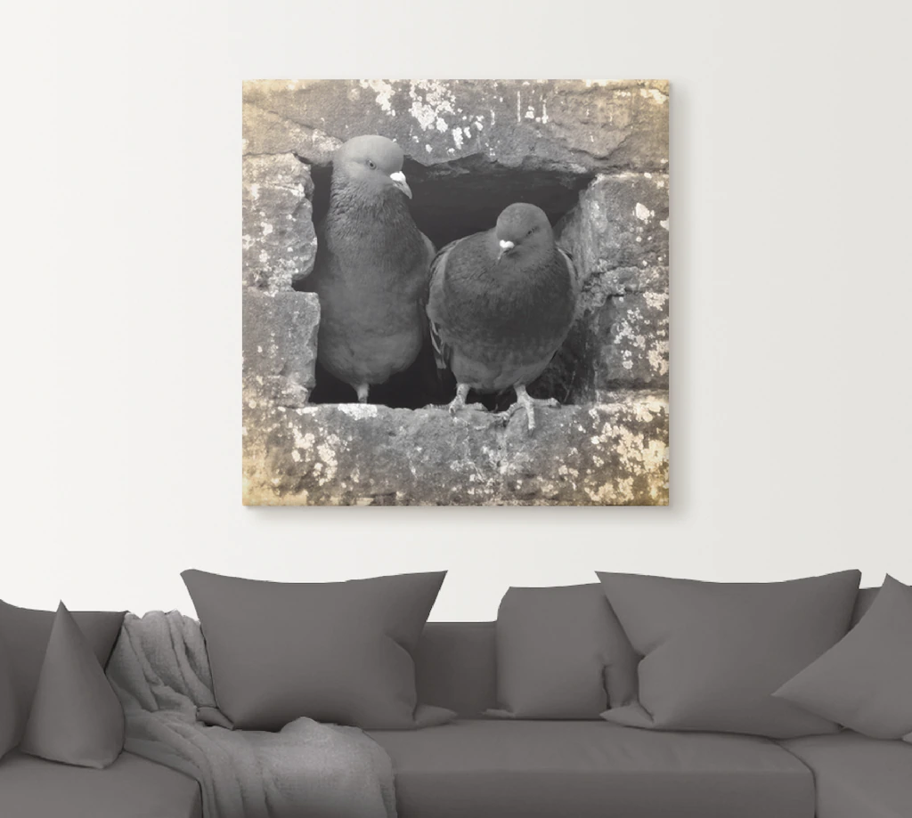 Artland Wandbild "Tauben Liebe", Vögel, (1 St.), als Alubild, Outdoorbild, günstig online kaufen