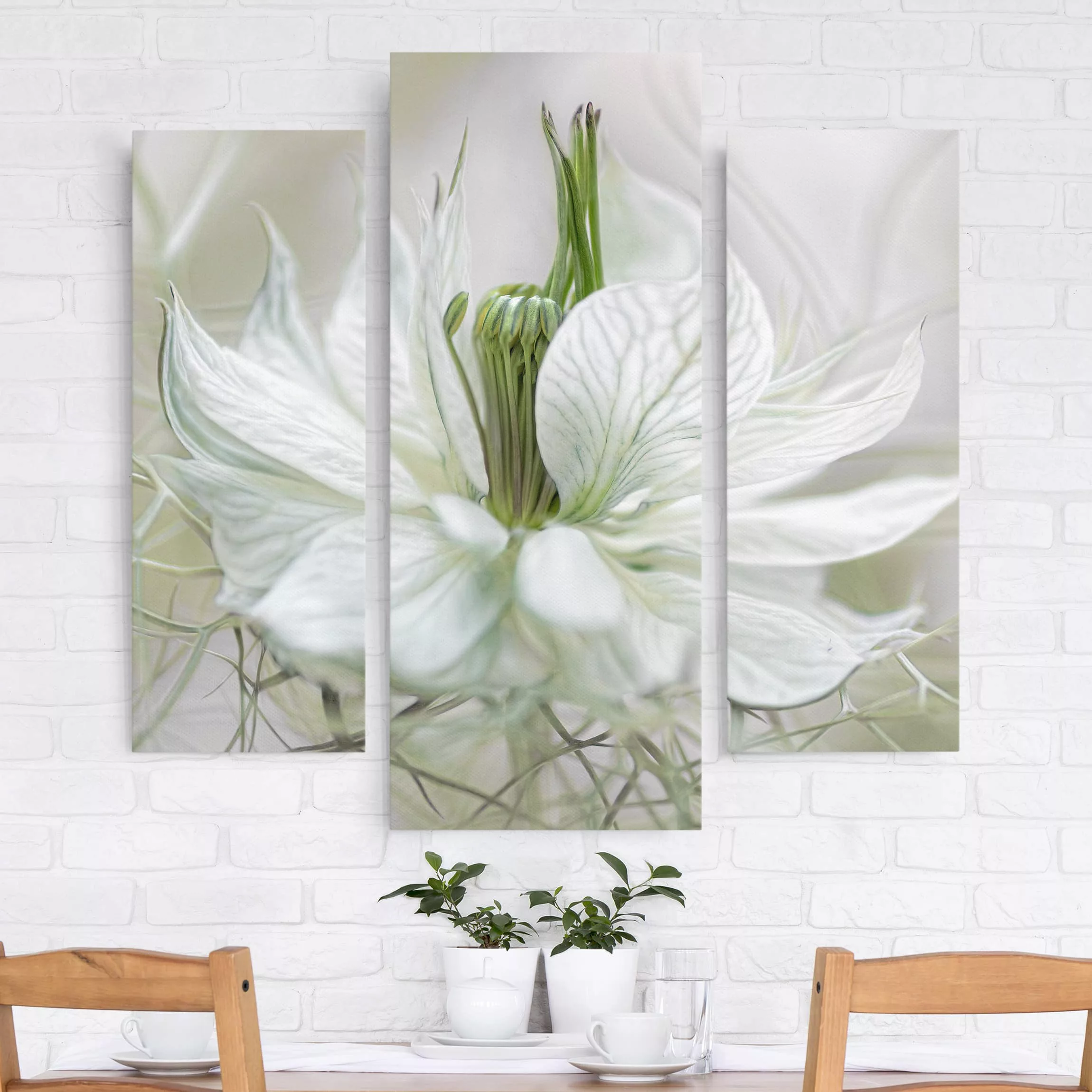 3-teiliges Leinwandbild Blumen - Querformat Weiße Nigella günstig online kaufen