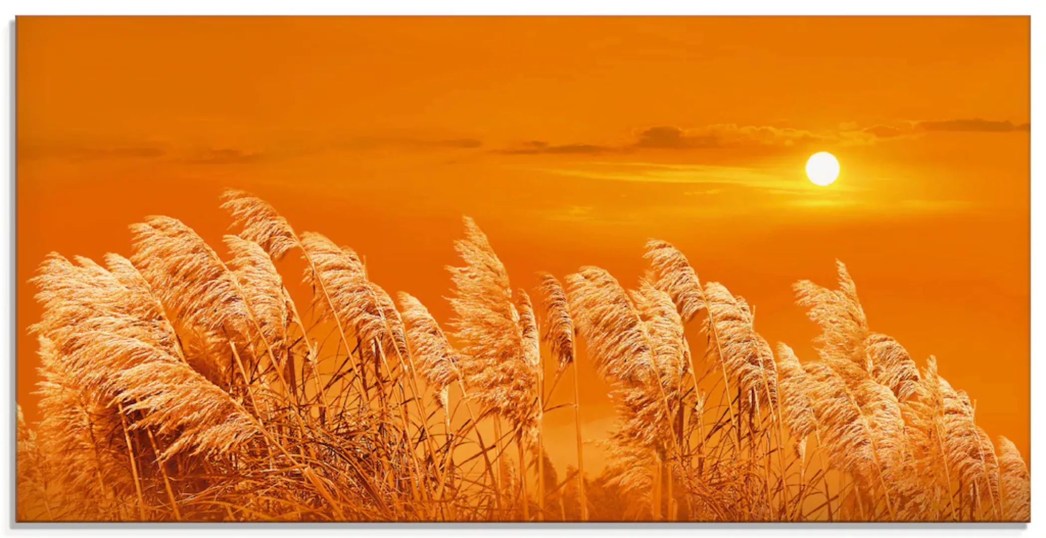 Artland Glasbild "Im Wind", Gräser, (1 St.) günstig online kaufen