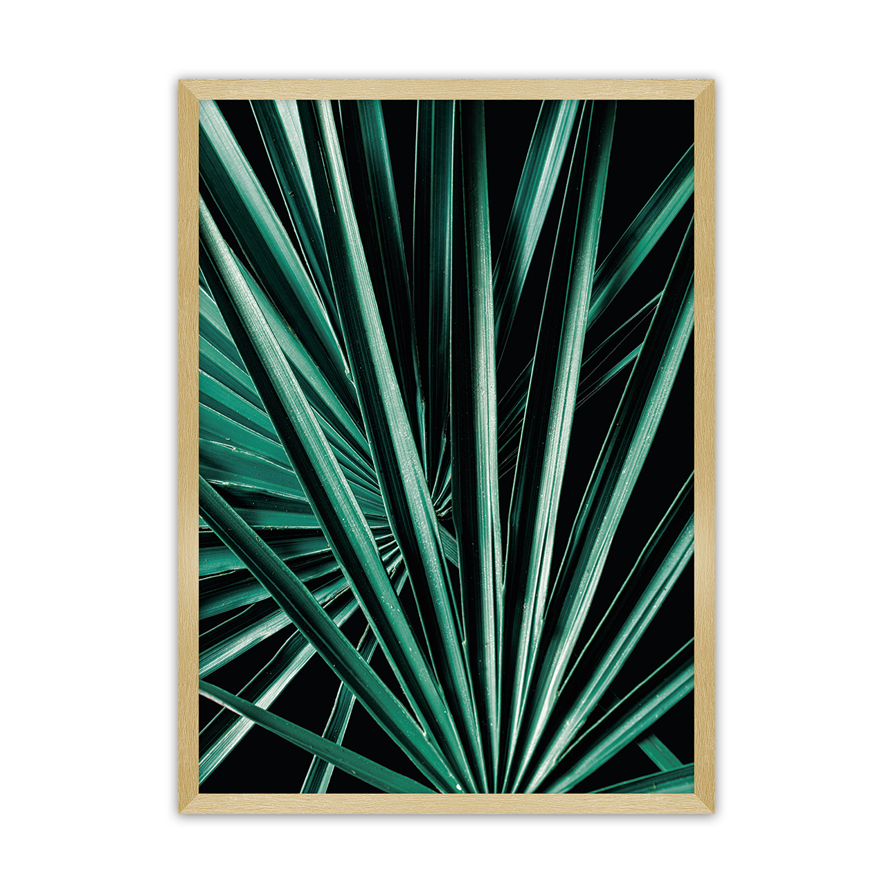 Poster Dark Palm Tree, 70 x 100 cm, Rahmen wählen: gold günstig online kaufen
