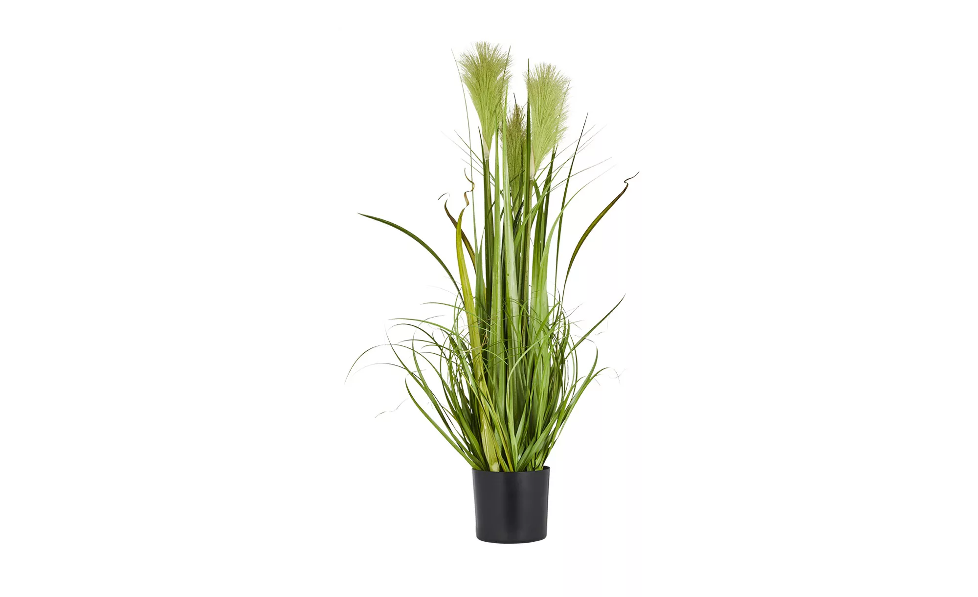Pampasgras - grün - Kunststoff - 80 cm - Sconto günstig online kaufen