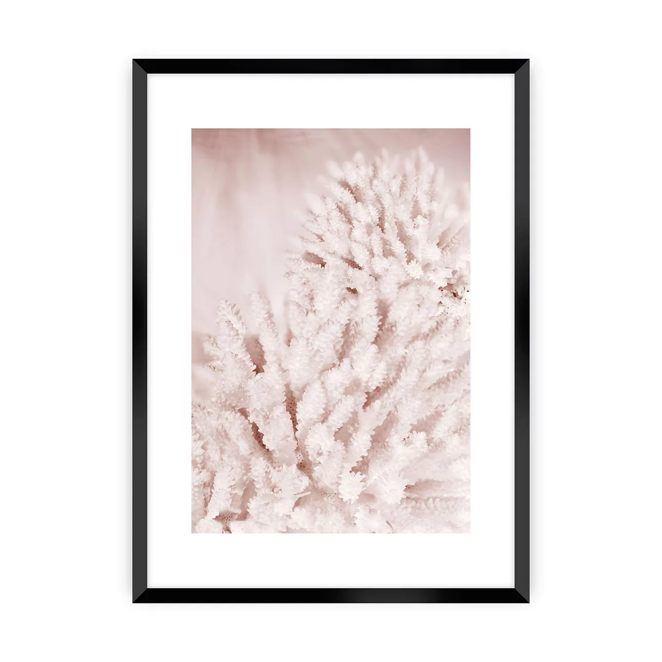 Poster Pastel Pink II, 70 x 100 cm, Rahmen wählen: schwarzer Rahmen günstig online kaufen
