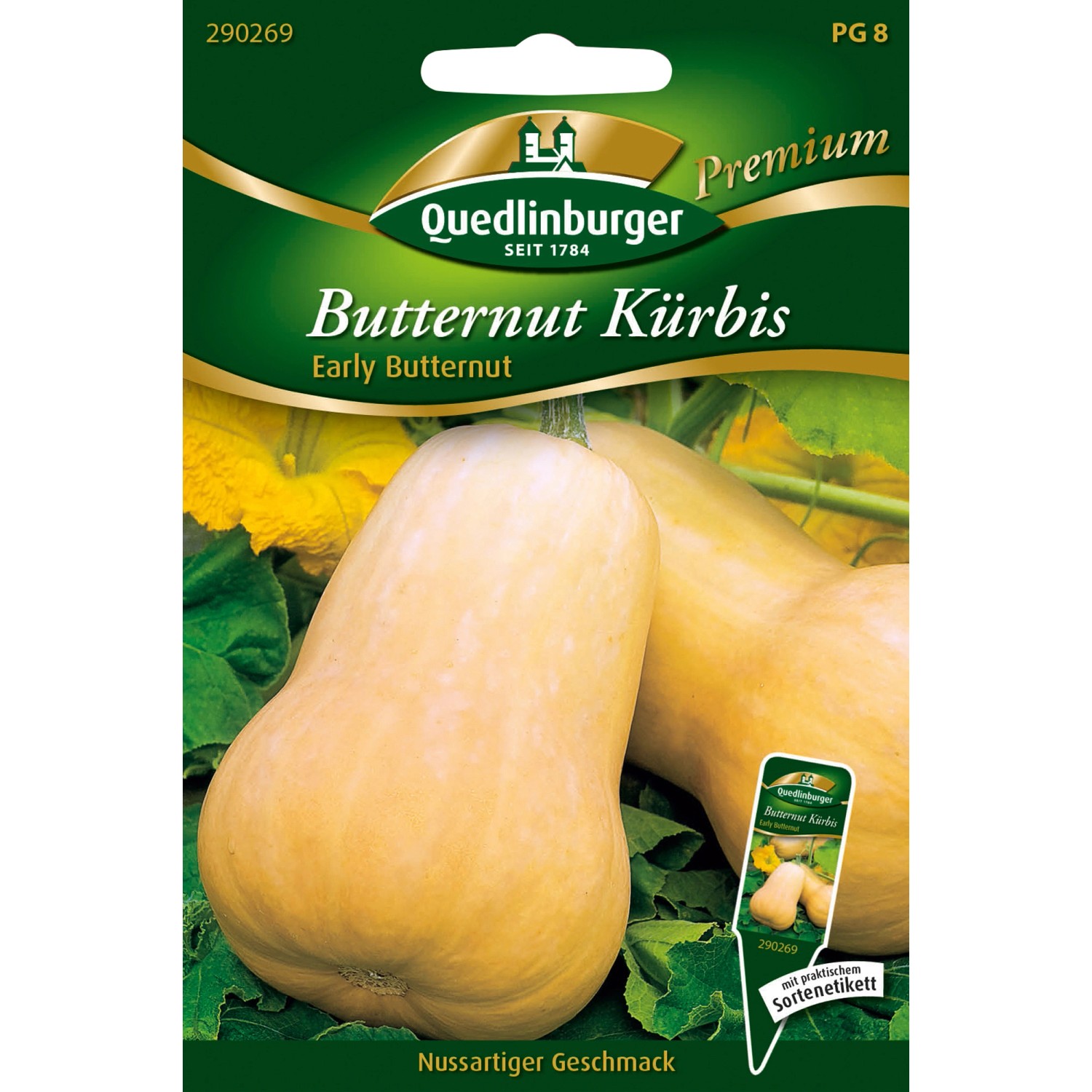 Quedlinburger Butternut-Kürbis ''Early Butternut'' günstig online kaufen