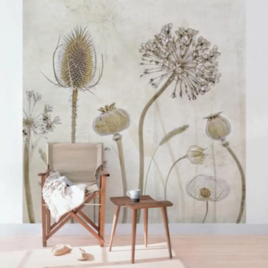 Bilderwelten Blumentapete Growing Old pastell Gr. 432 x 290 günstig online kaufen