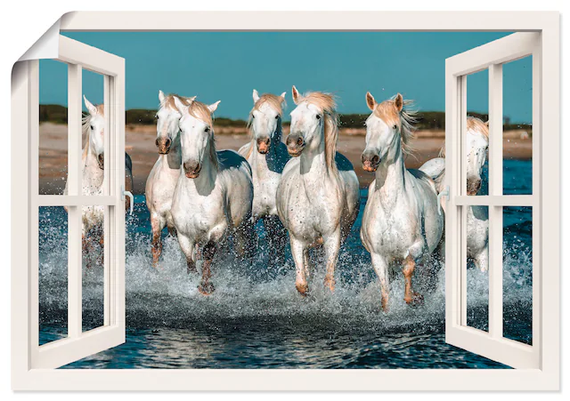 Artland Poster "Fensterblick Pferde am Strand", Haustiere, (1 St.), als Alu günstig online kaufen