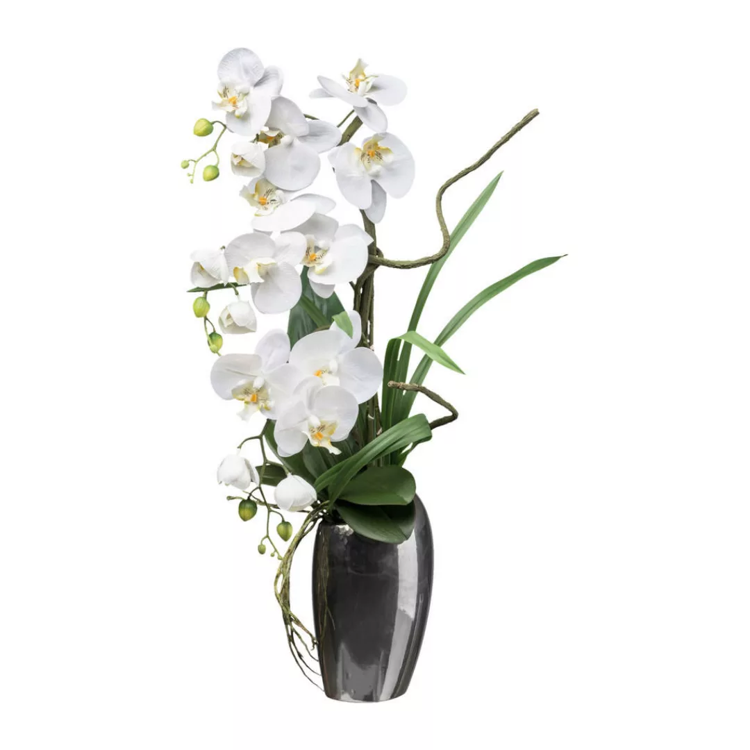 Kunstpflanze Phalaenopsis weiß Kunststoff B/H/L: ca. 20x68x20 cm günstig online kaufen