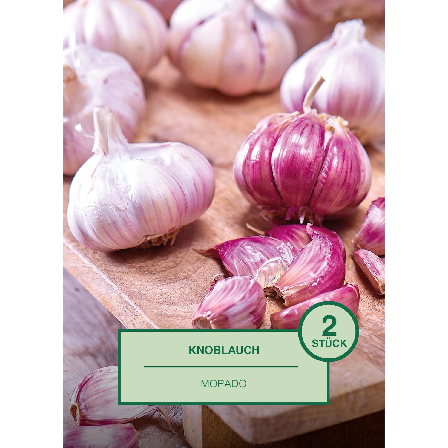 Knoblauch 2 Stück Allium sativum Morado günstig online kaufen