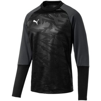 Puma  Pullover Sport CUP Training Sweat Core 656021 003 günstig online kaufen