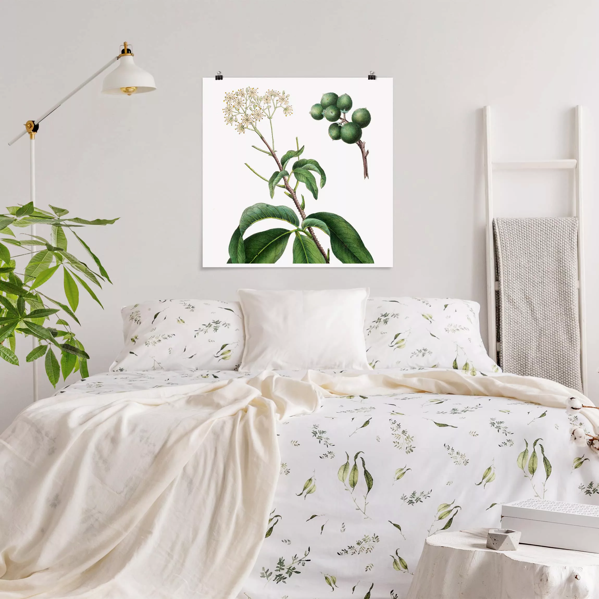 Poster Blumen - Quadrat Laubwerk mit Blüten II günstig online kaufen