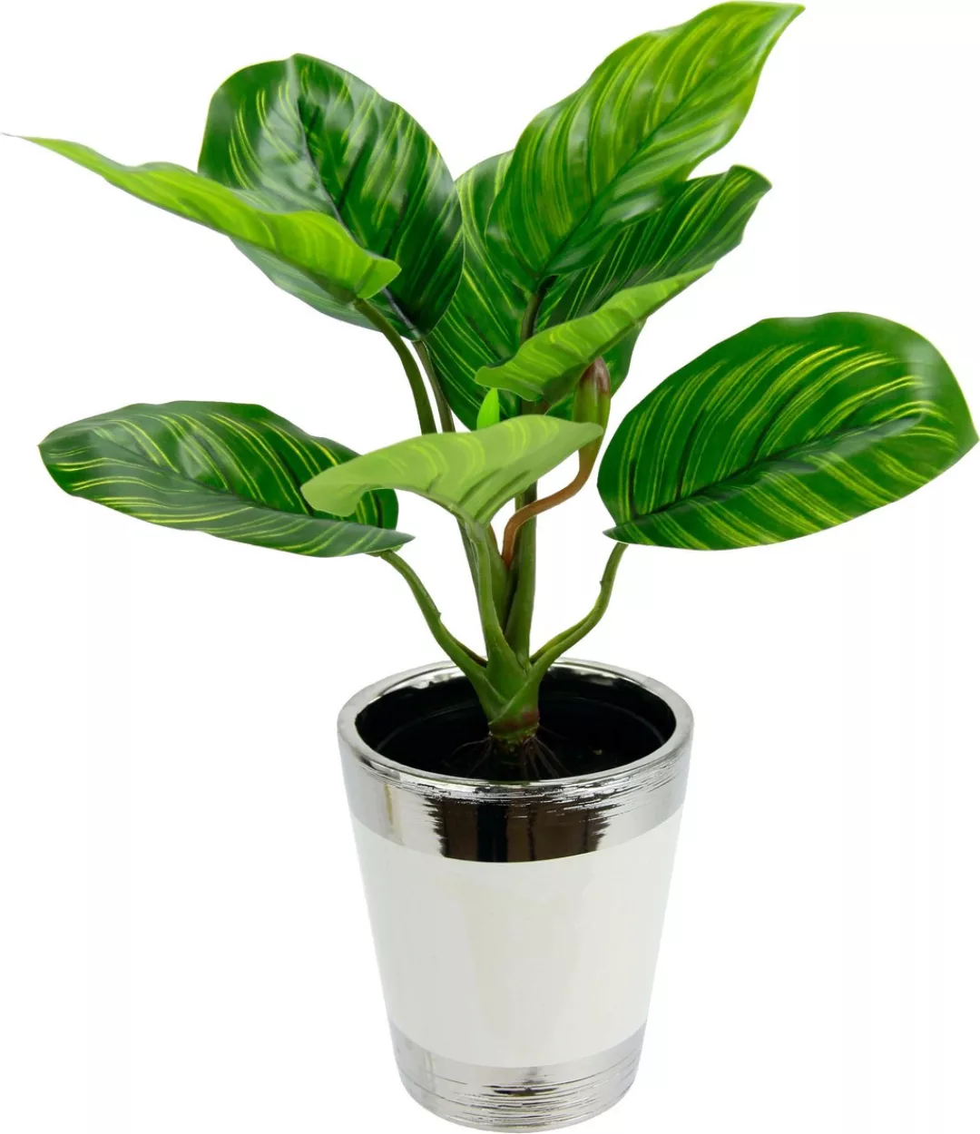 I.GE.A. Kunstpflanze "Maranthuspflanze im Topf" günstig online kaufen