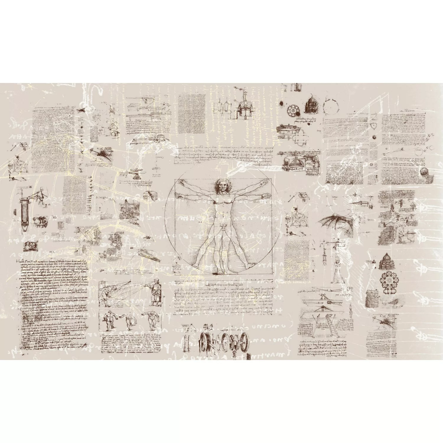 KOMAR Vlies Fototapete - Da Vinci - Größe 400 x 250 cm mehrfarbig günstig online kaufen