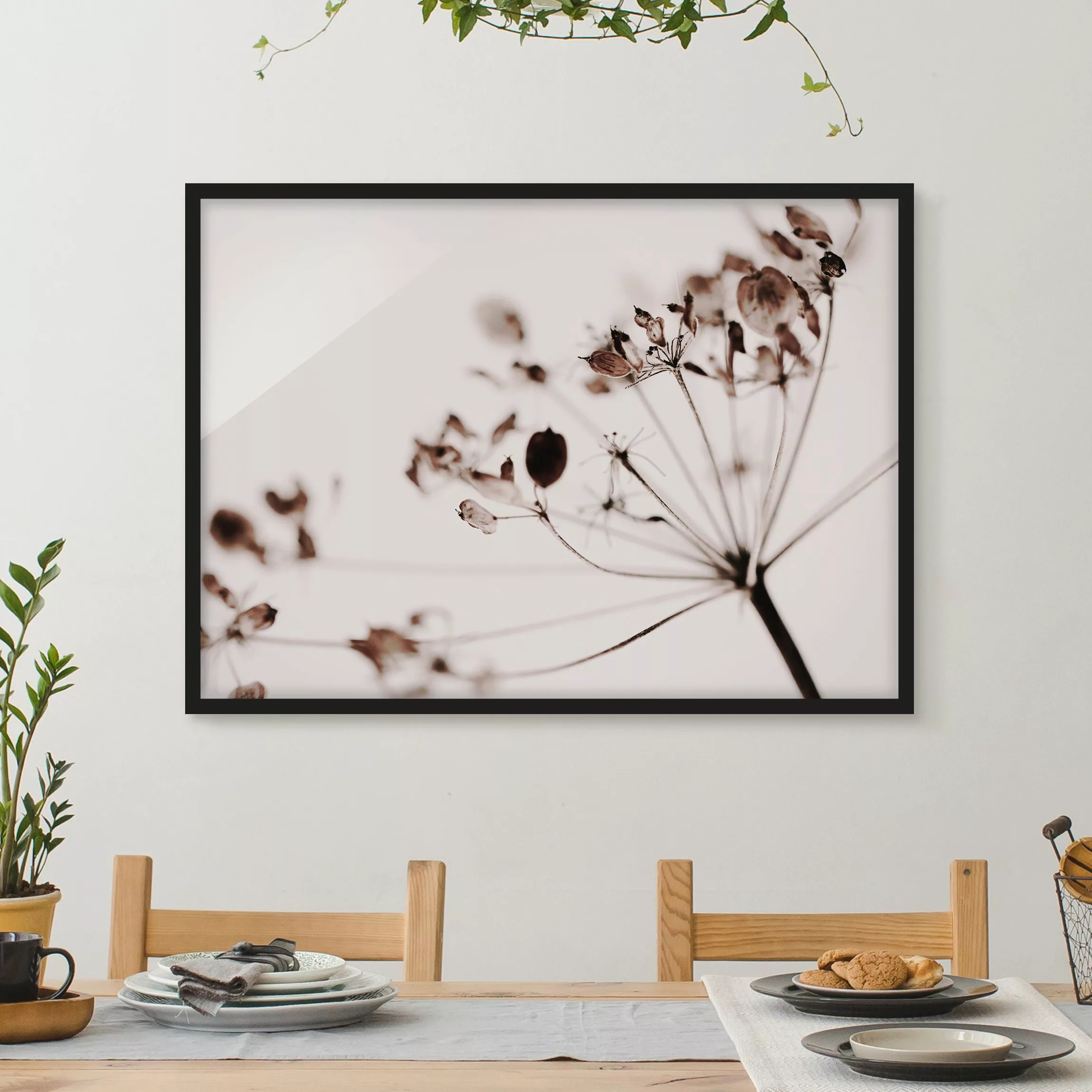 Bild mit Rahmen Makroaufnahme Trockenblume im Schatten günstig online kaufen