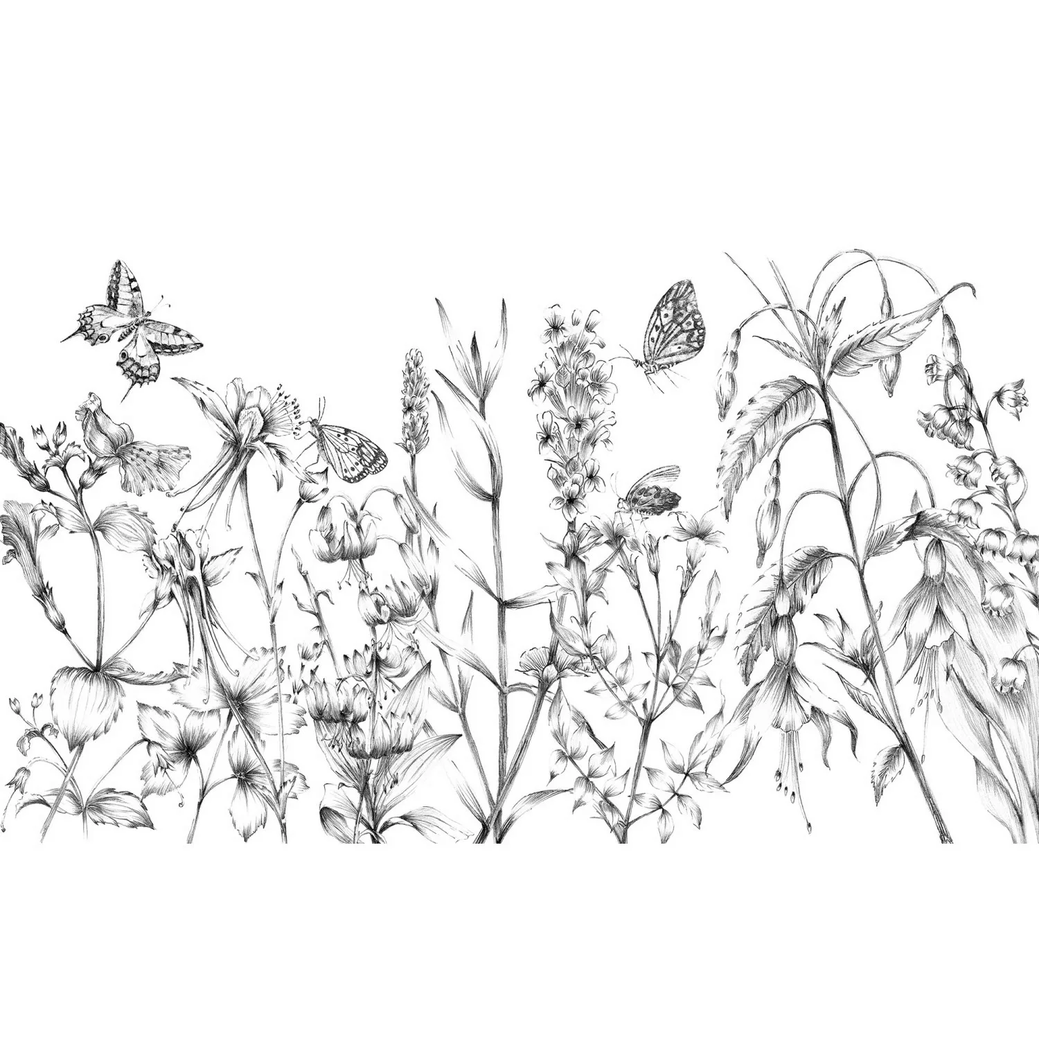 KOMAR Vlies Fototapete - Butterfly Field  - Größe 400 x 250 cm mehrfarbig günstig online kaufen