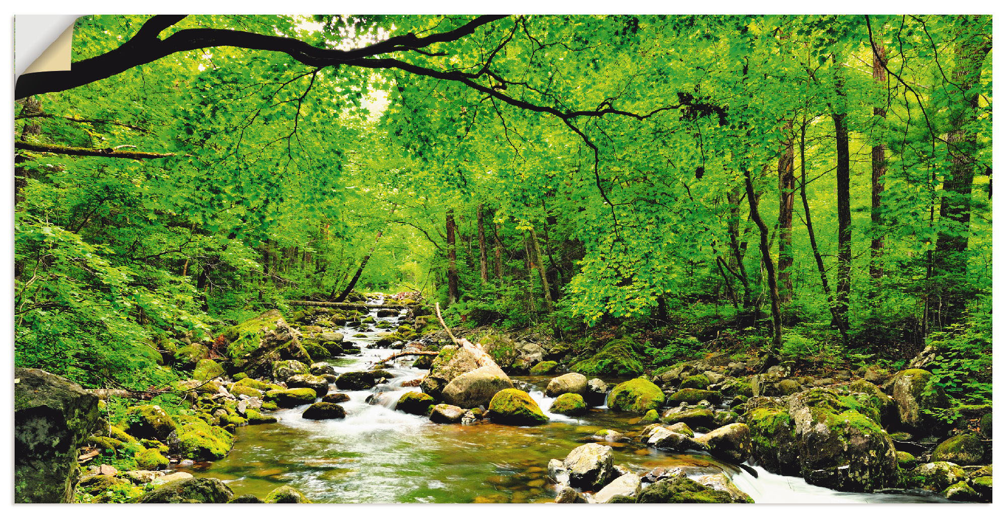 Artland Wandbild "Herbstwald Fluss Smolny", Wald, (1 St.), als Leinwandbild günstig online kaufen