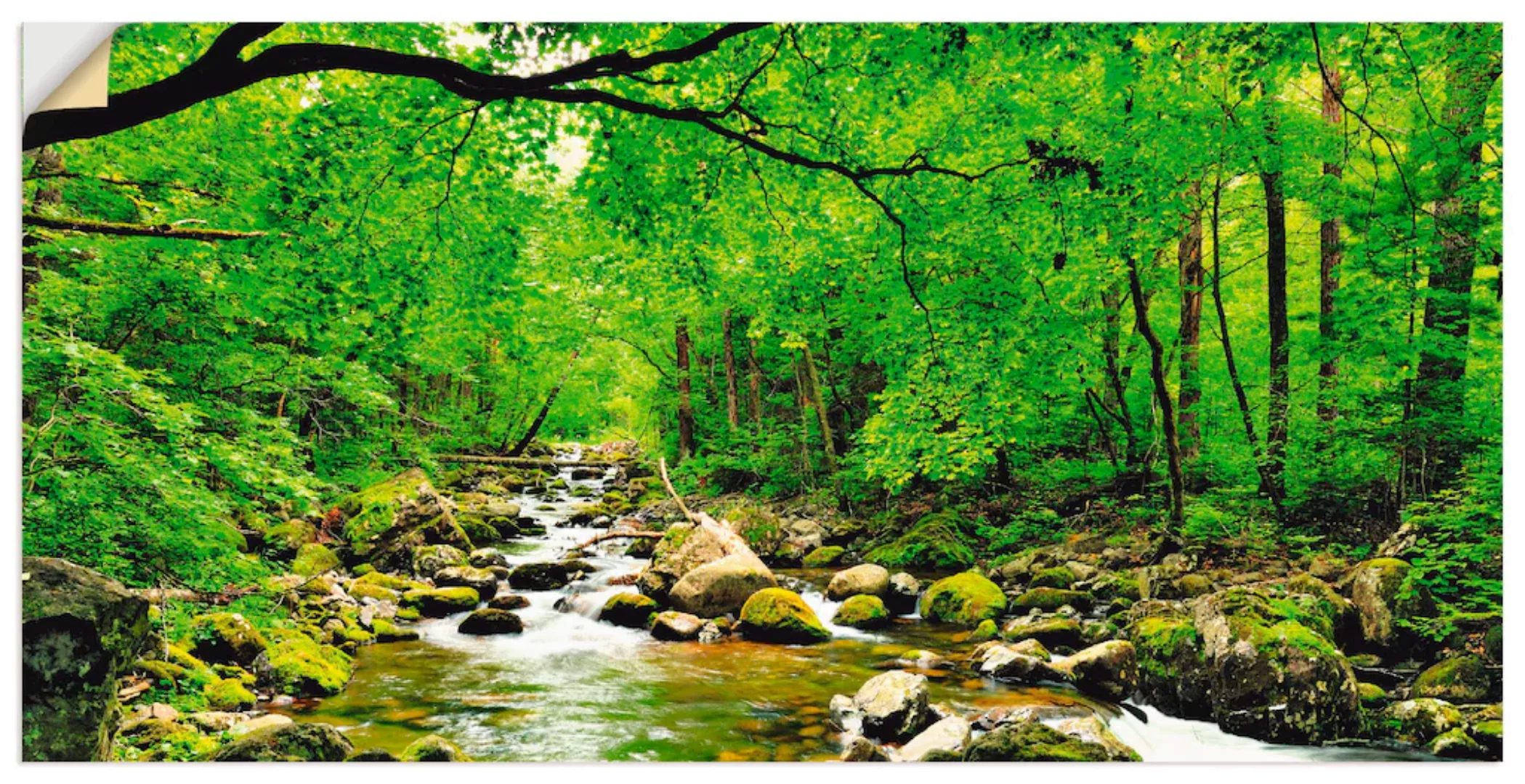Artland Wandbild "Herbstwald Fluss Smolny", Wald, (1 St.), als Leinwandbild günstig online kaufen