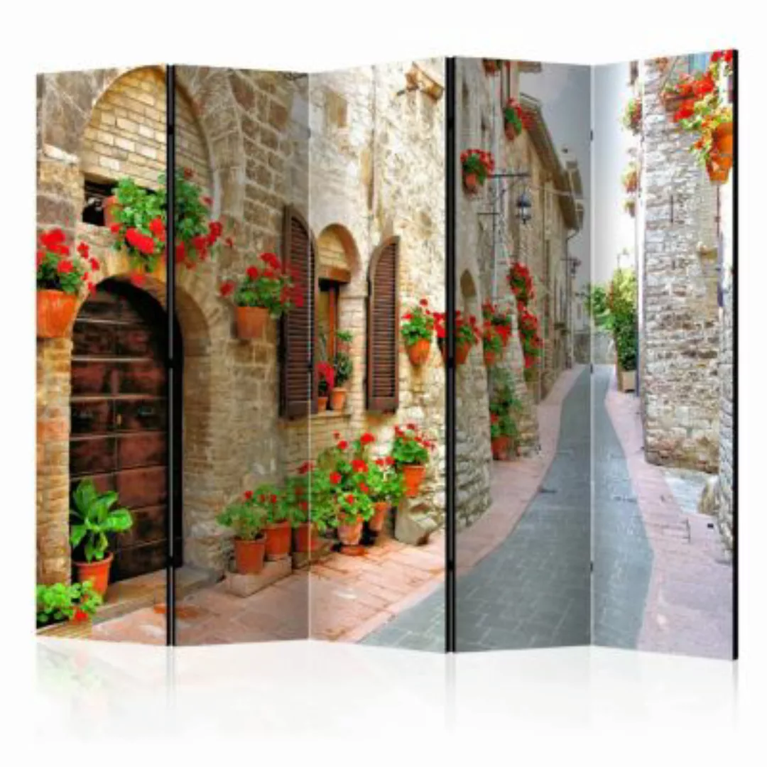 artgeist Paravent Italian province II [Room Dividers] mehrfarbig Gr. 225 x günstig online kaufen