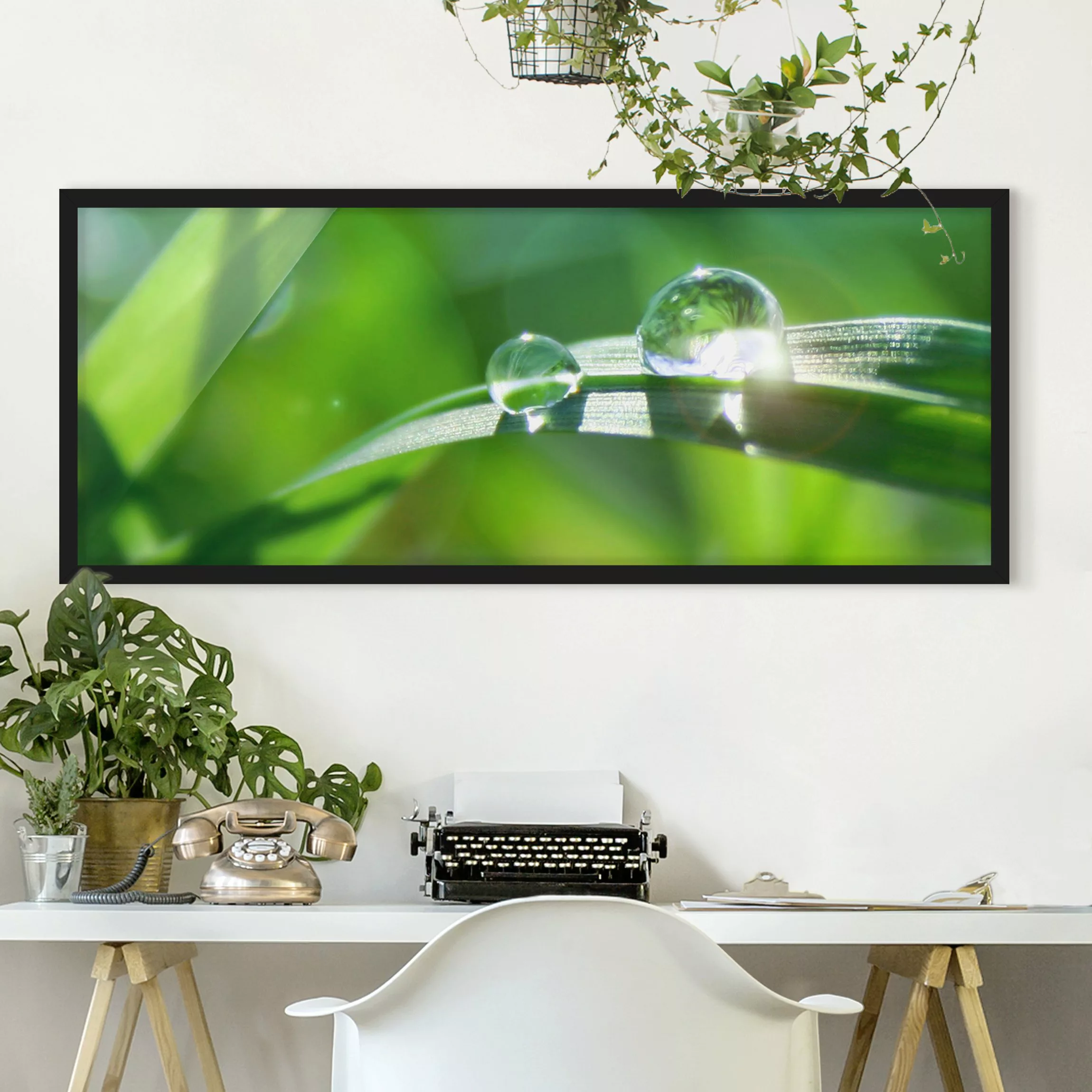 Bild mit Rahmen Blumen - Panorama Green Ambiance II günstig online kaufen
