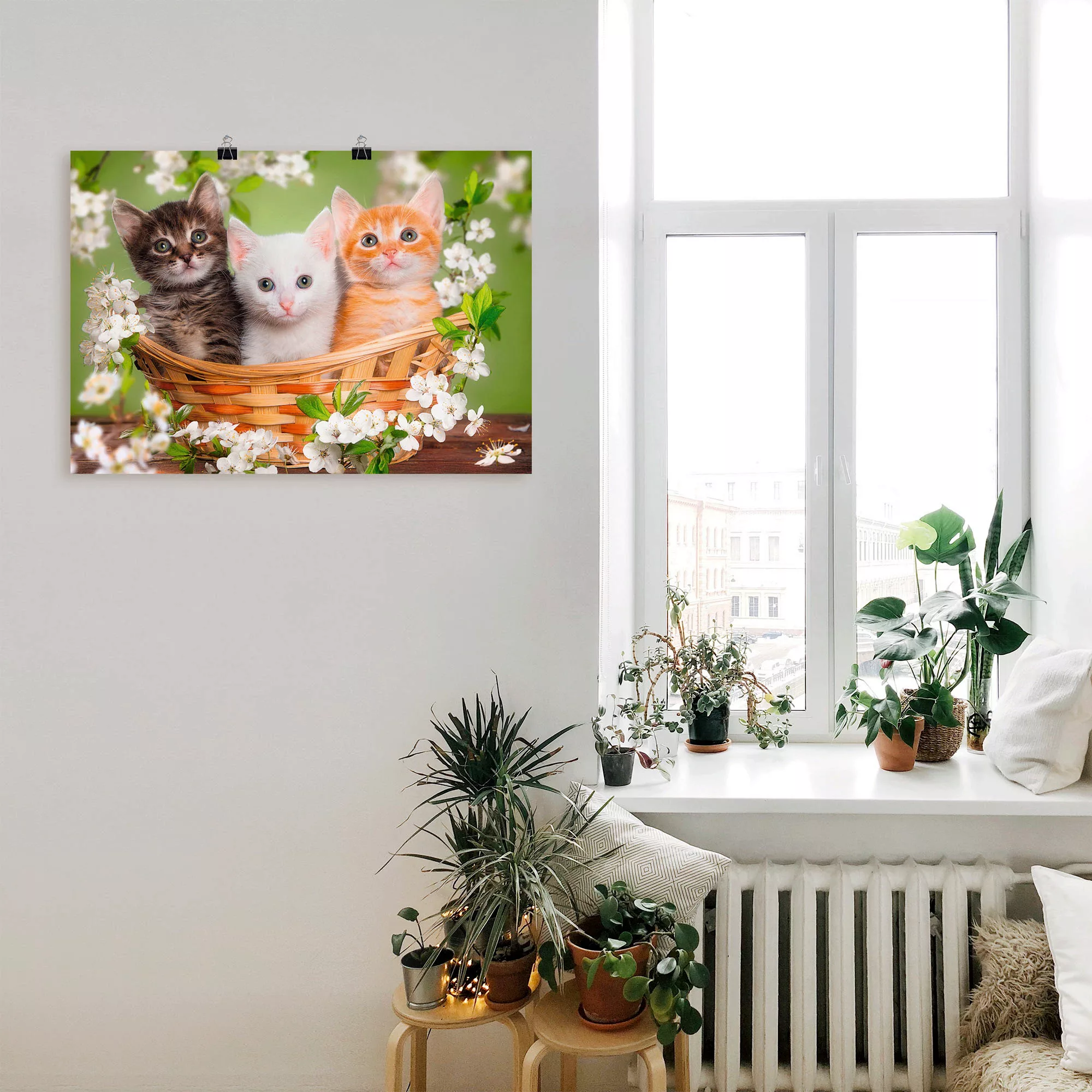 Artland Wandbild »Katzen sitzen in einem Korb«, Haustiere, (1 St.), als Lei günstig online kaufen