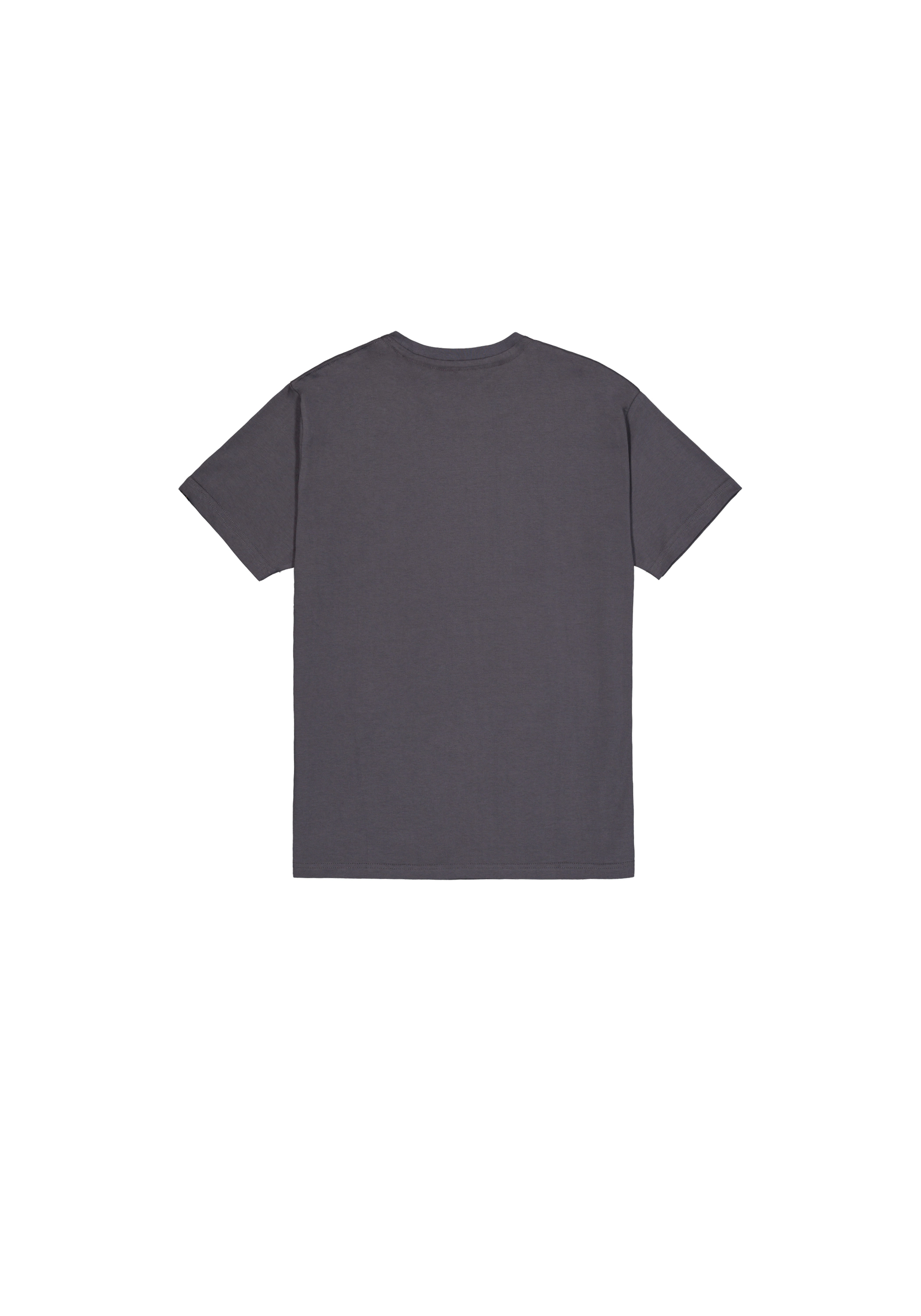 Alpha Industries T-Shirt "Satin Logo T-Shirt T-Shirt" günstig online kaufen